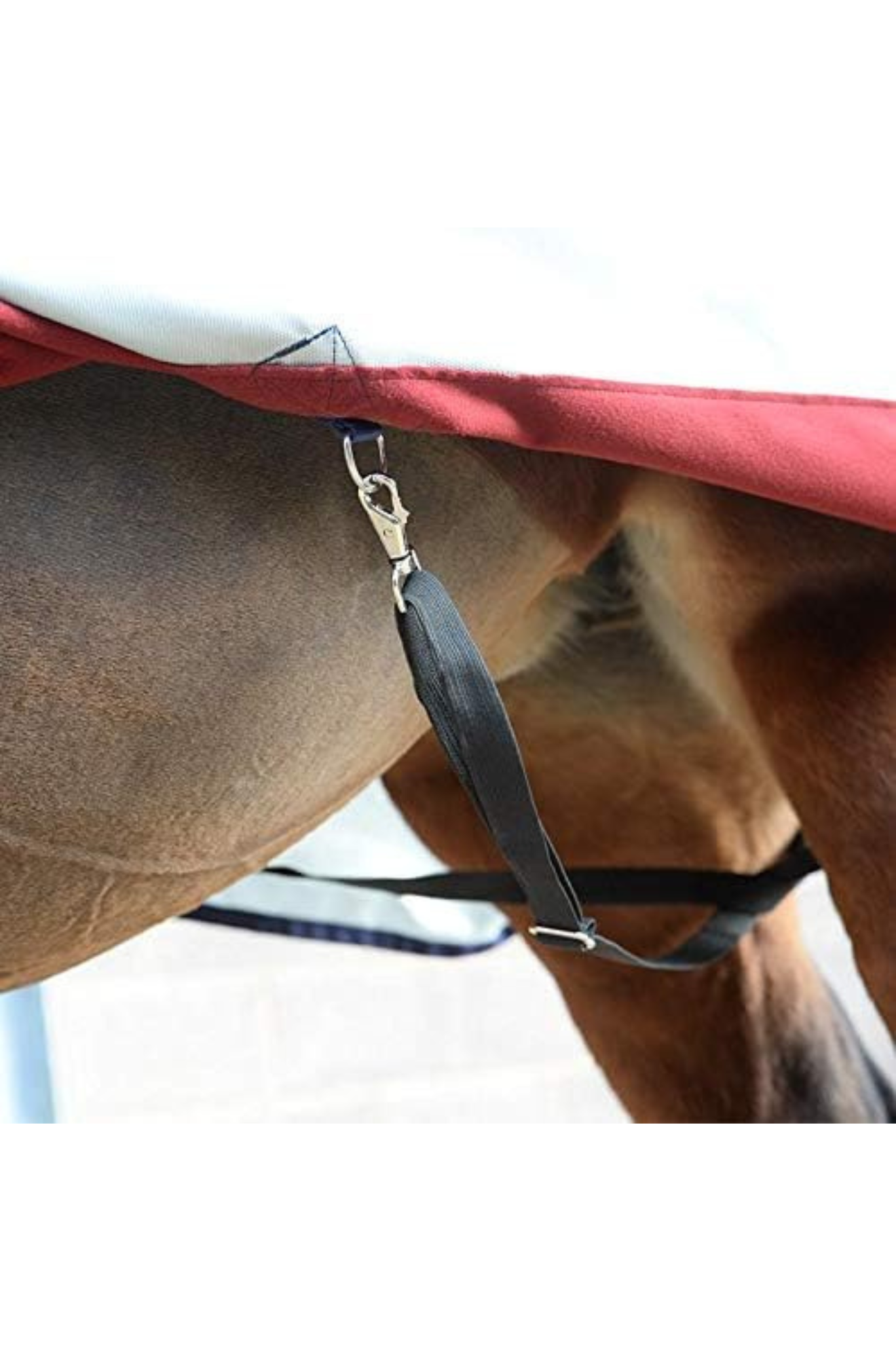 A pair of black elastic blanket leg straps with metal snaps on each end