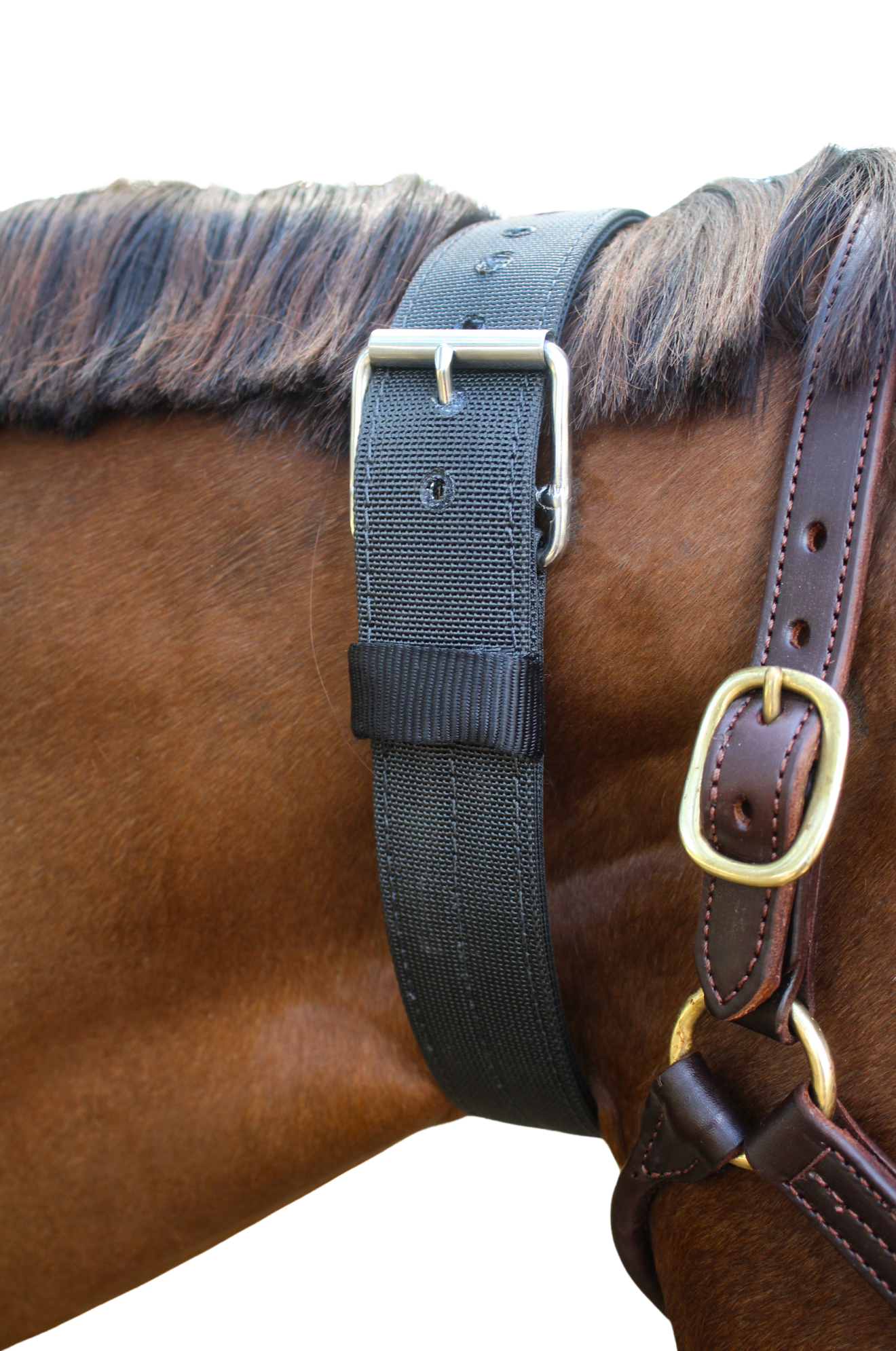 TS NYLON CRIBBING STRAP
