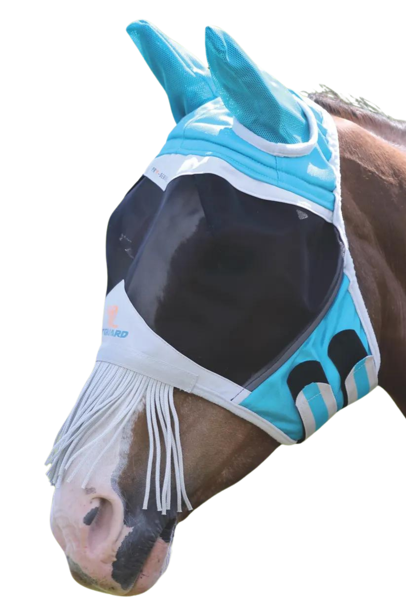 A horse wearing a black fine mesh fly mask with fringe and ear coverings.