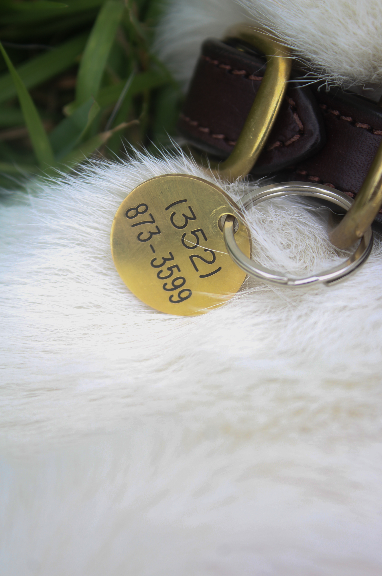 ROUND TAGS
