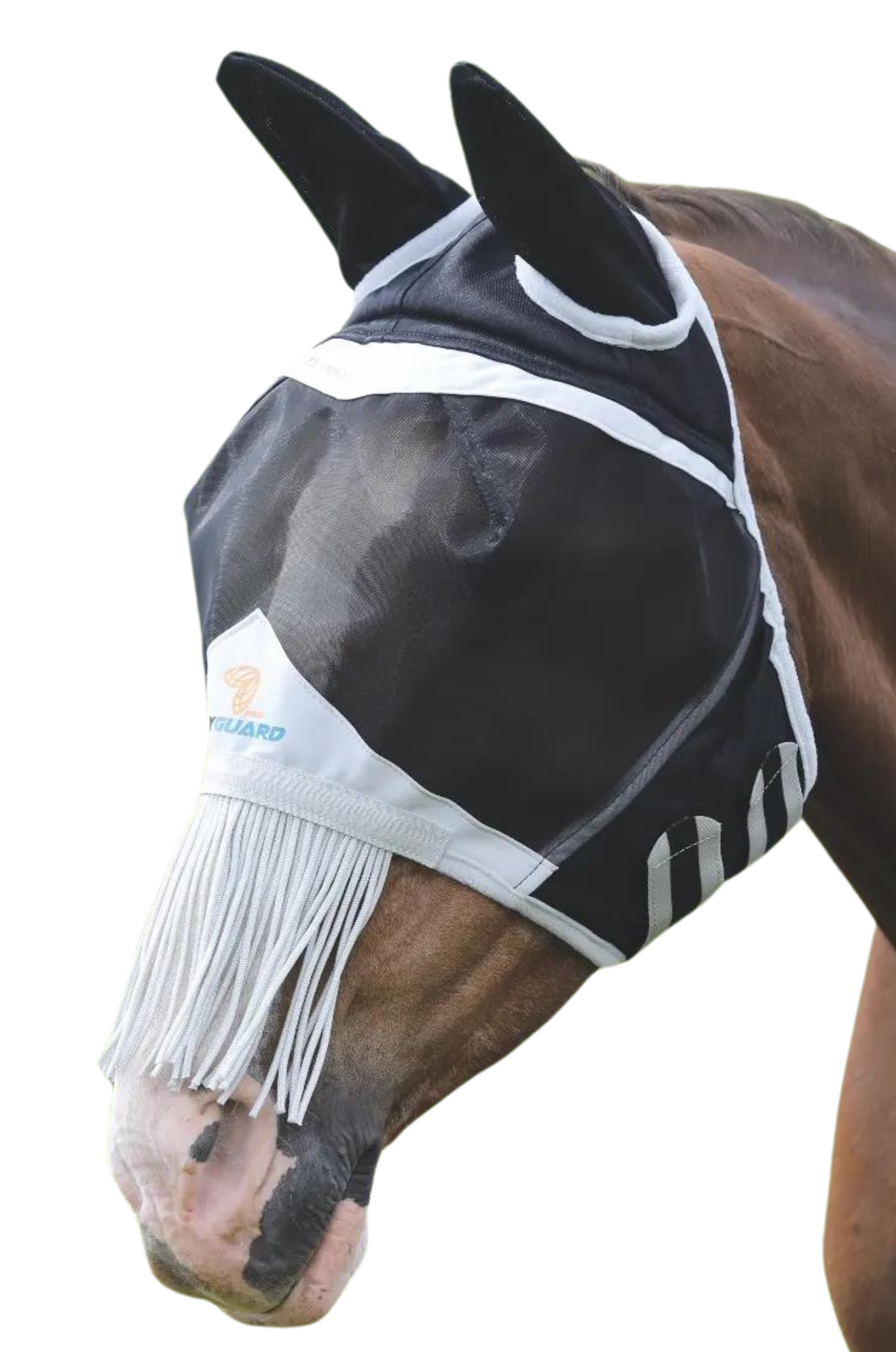 A horse wearing a black fine mesh fly mask with fringe and ear coverings.
