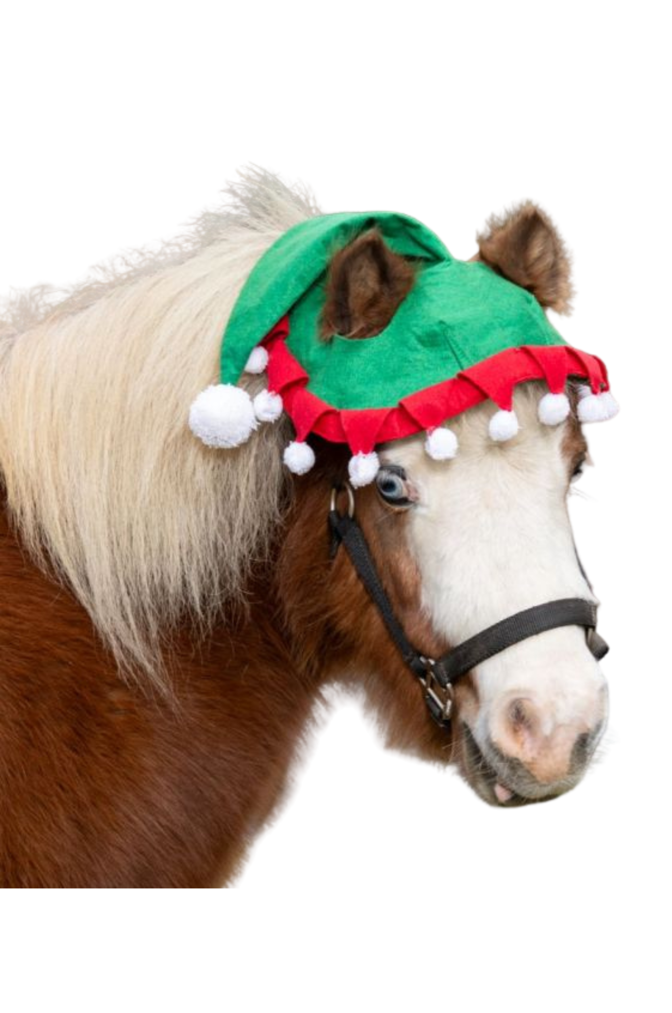 Elf 2 Ear Horse Hat