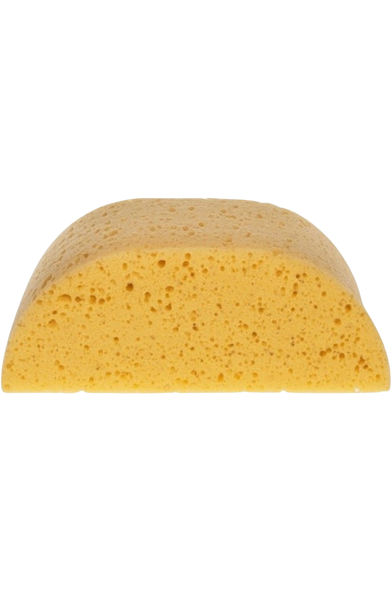 HADERA HUMP BACK SPONGE
