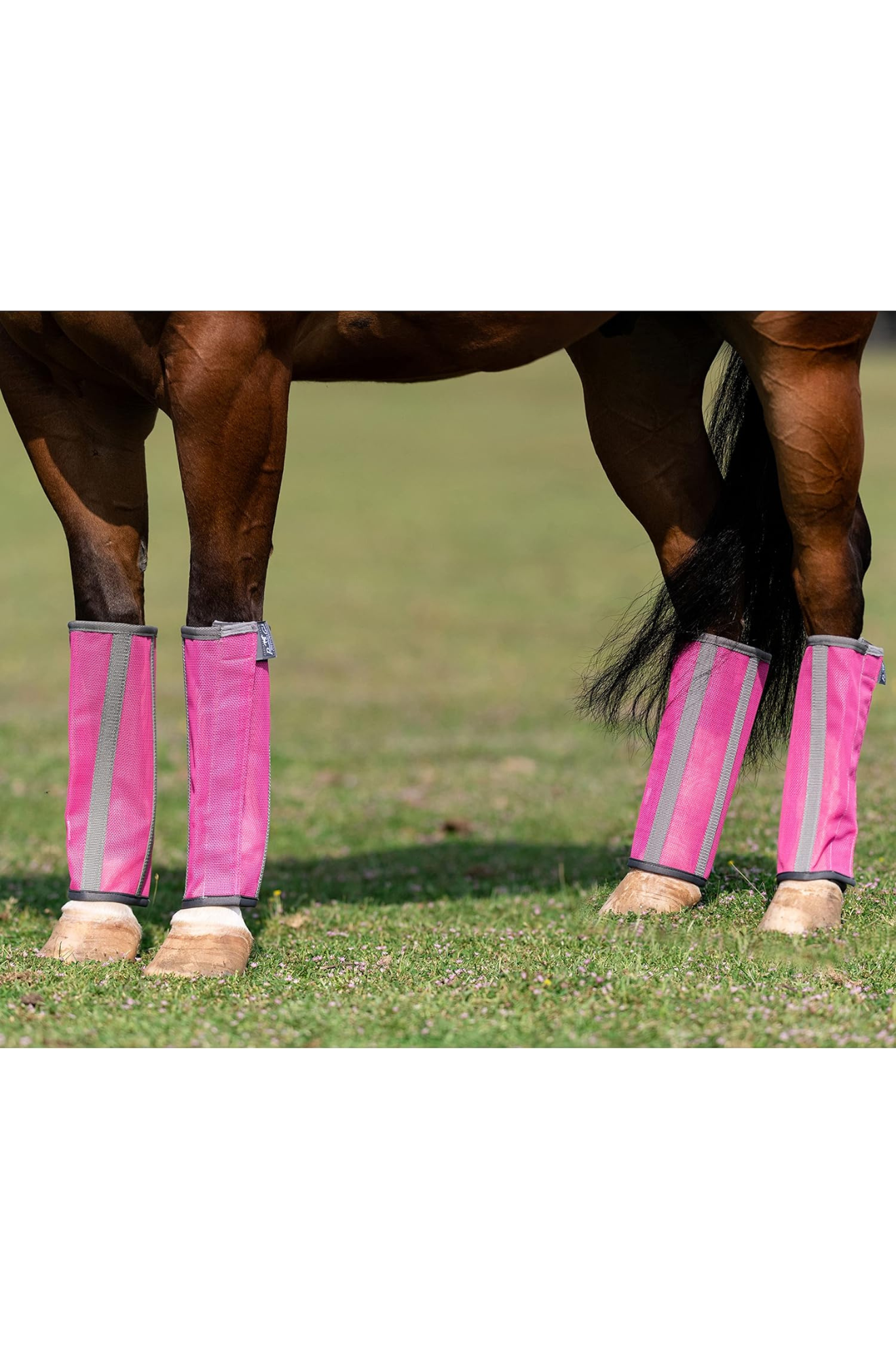 A pair of pink fly boots for horses with gray accents, featuring mesh upper material and neoprene bottom liner.