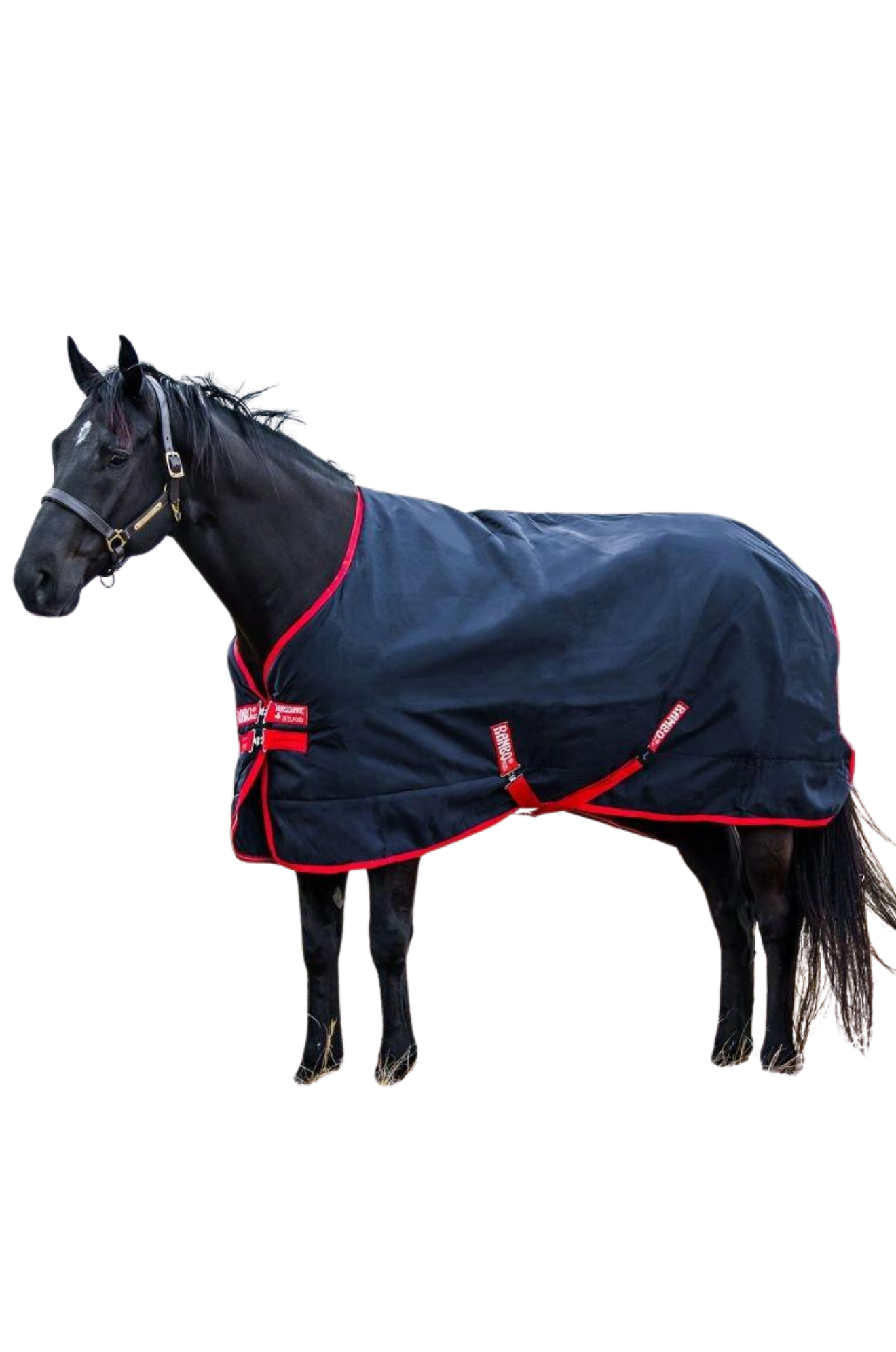 RAMBO ORIGINAL TURNOUT MEDIUM 200G