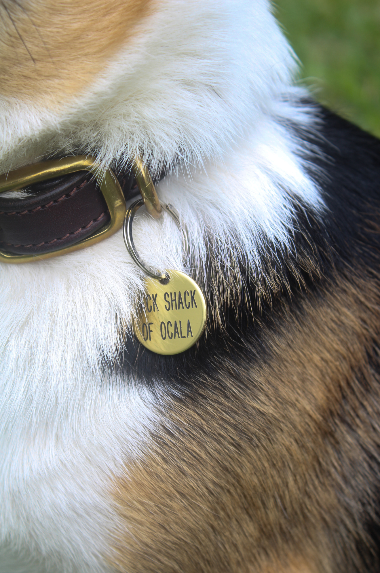ROUND TAGS