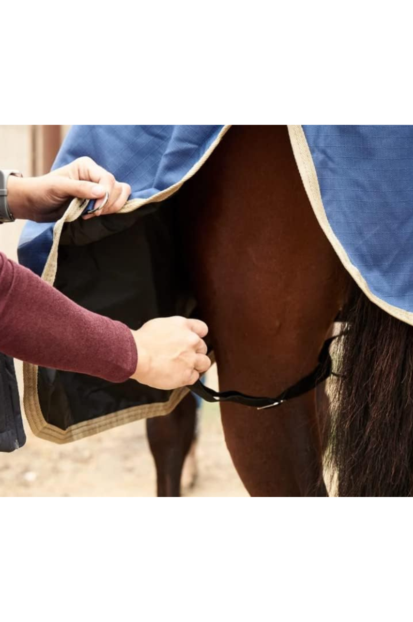 A pair of black elastic blanket leg straps with metal snaps on each end