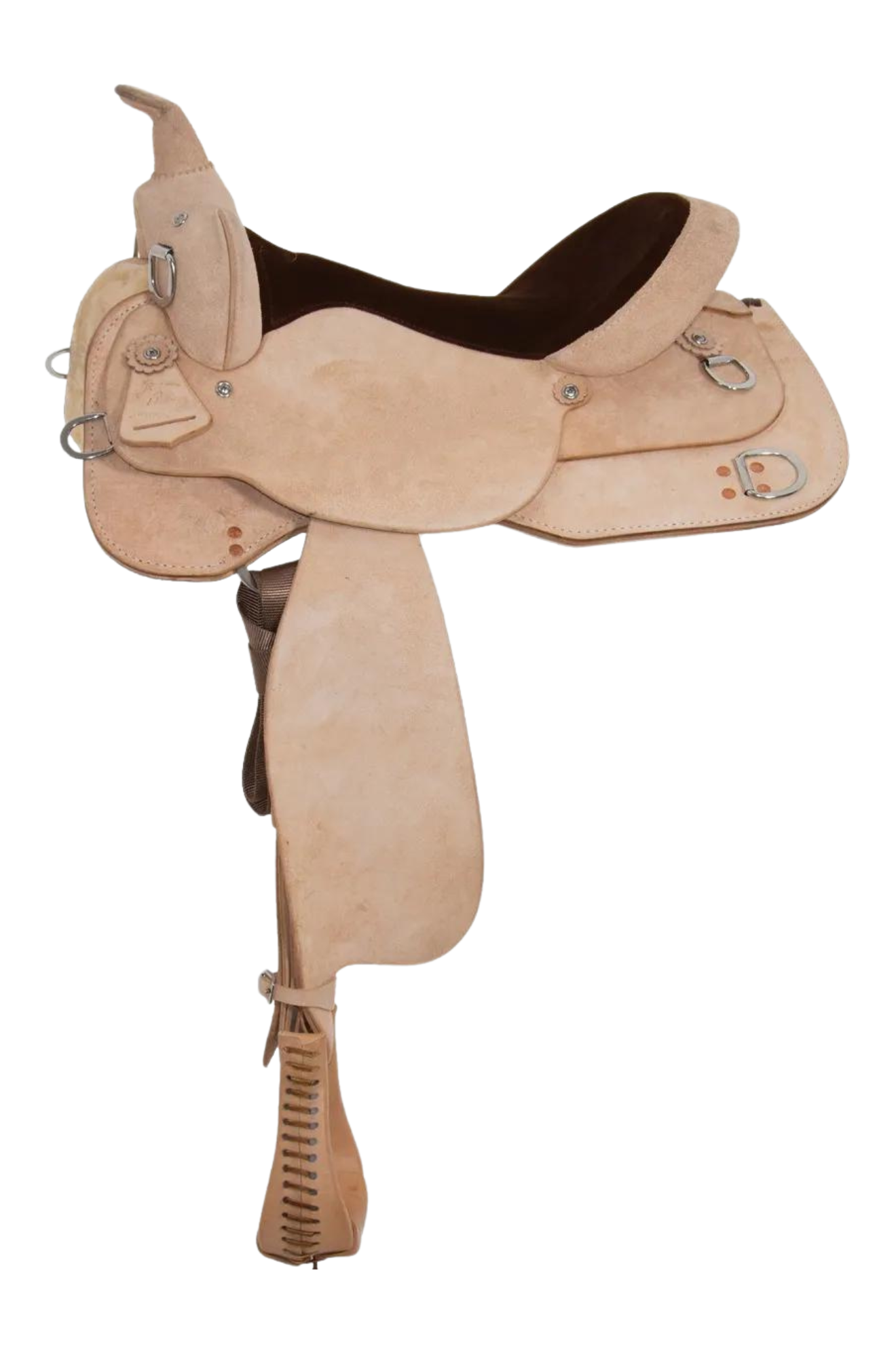 Circle Y Oakland Trainer