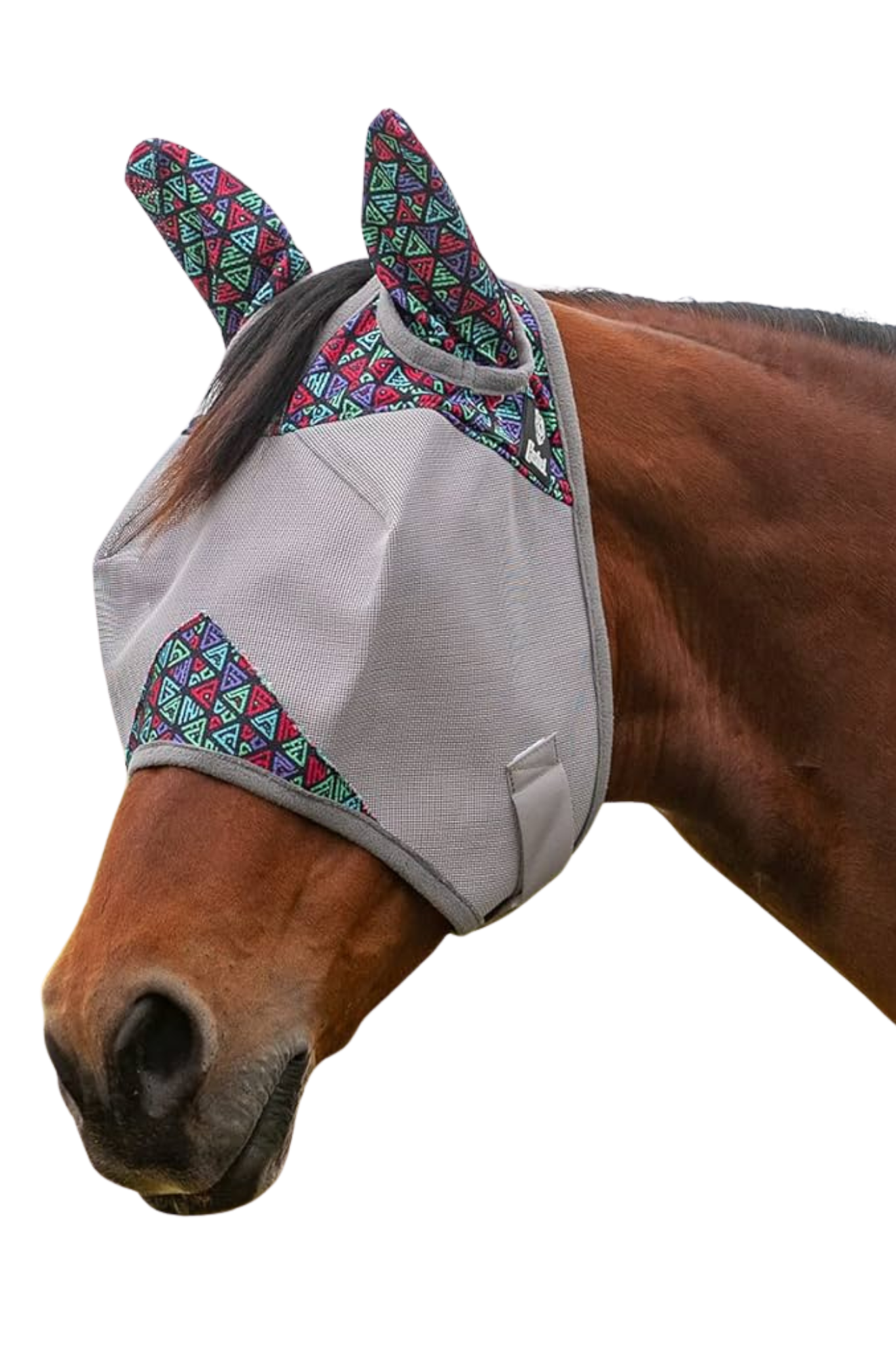 A gray CASHEL Crusader fly mask with ears attached to a horse head.
