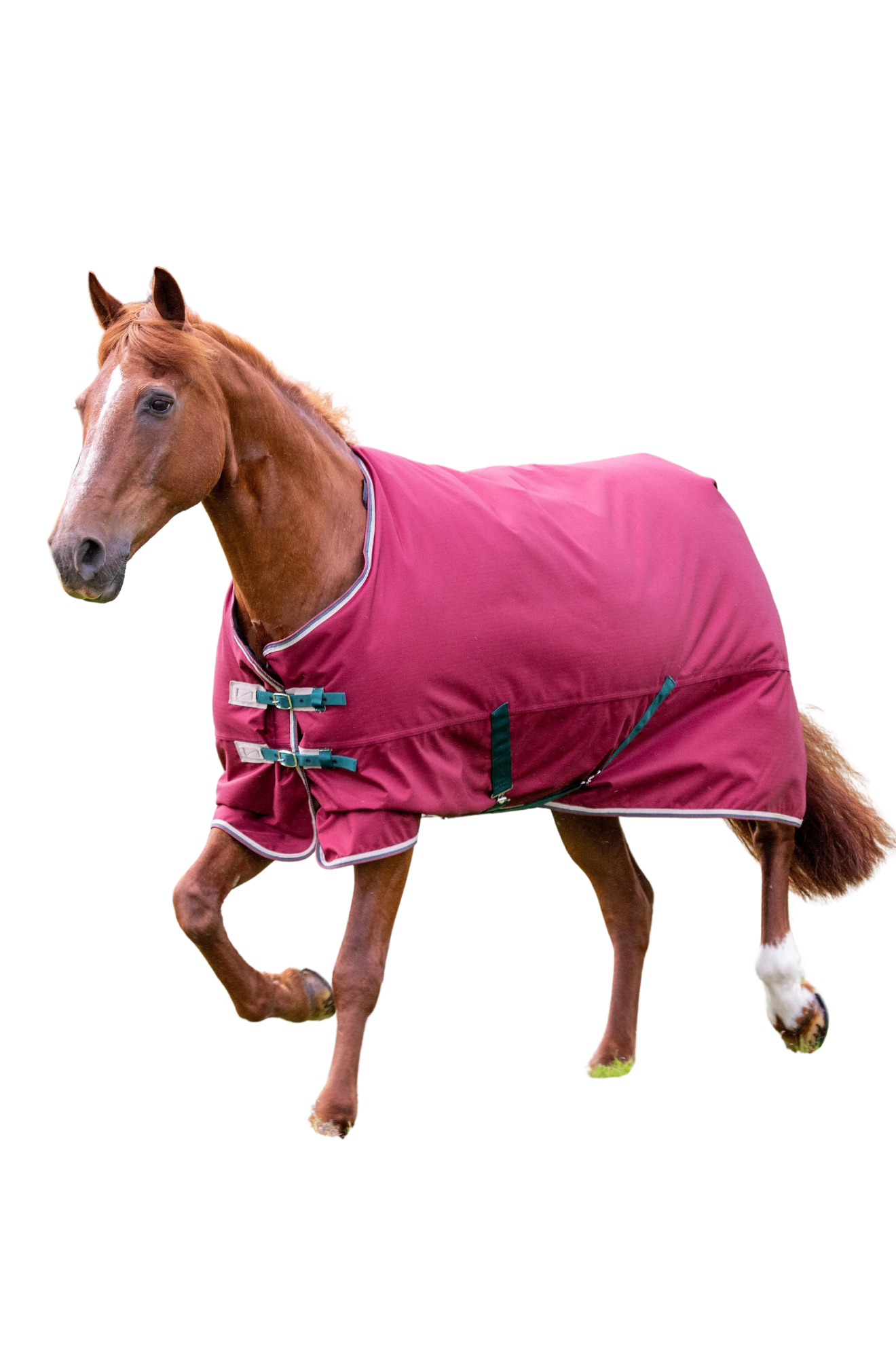 SHIRES TEMPEST ORIGINAL200 TURNOUT BLANKET