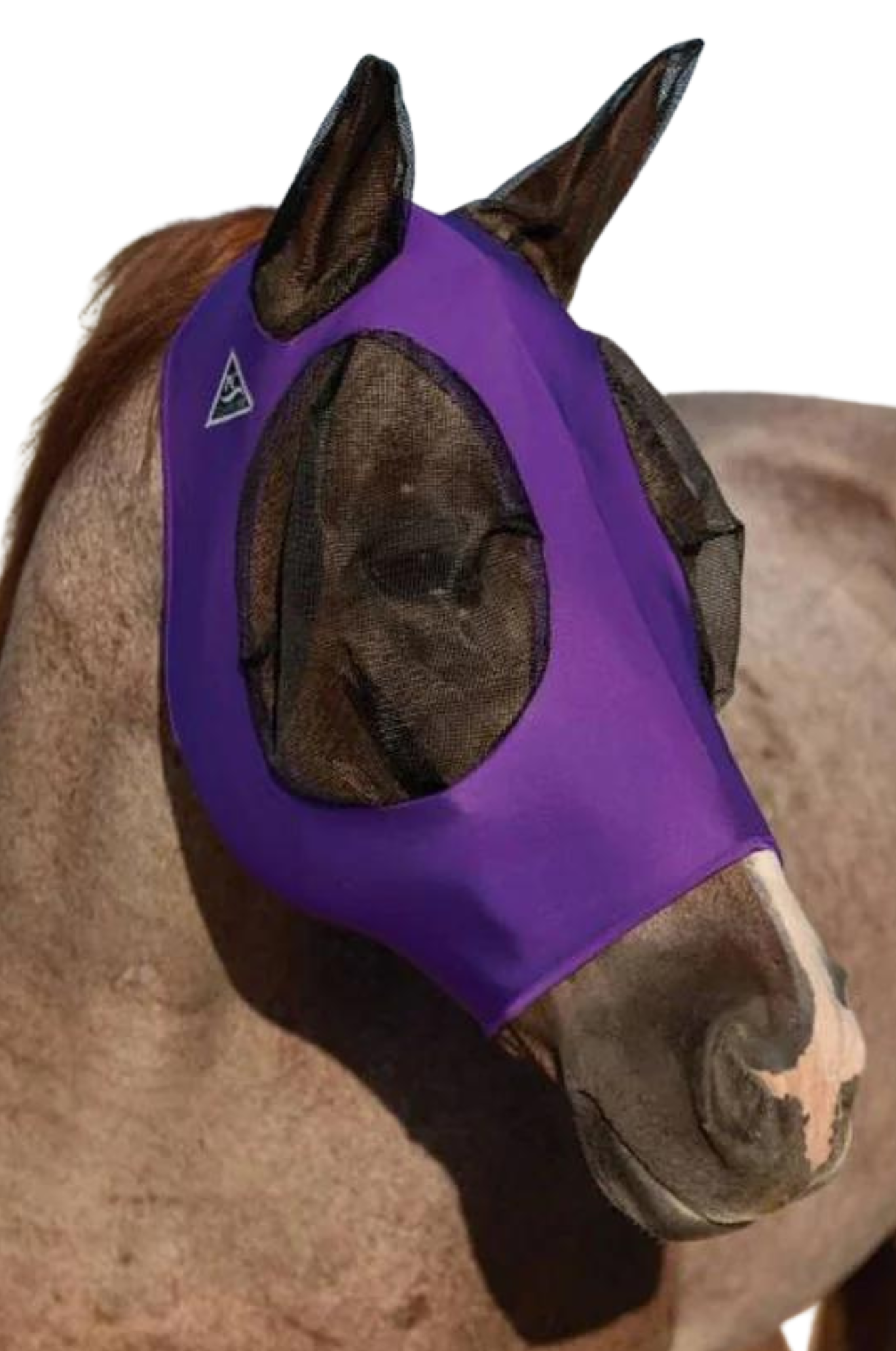 A gray horse wearing a fly mask with a comfort-fit design, featuring smooth lycra fabric, mesh around the eyes and ears, and a forelock opening.