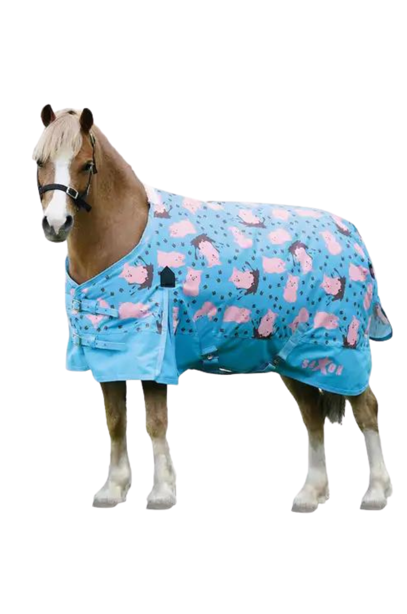 SAXON 600D PONY STANDARD NECK TURNOUT MEDIUM