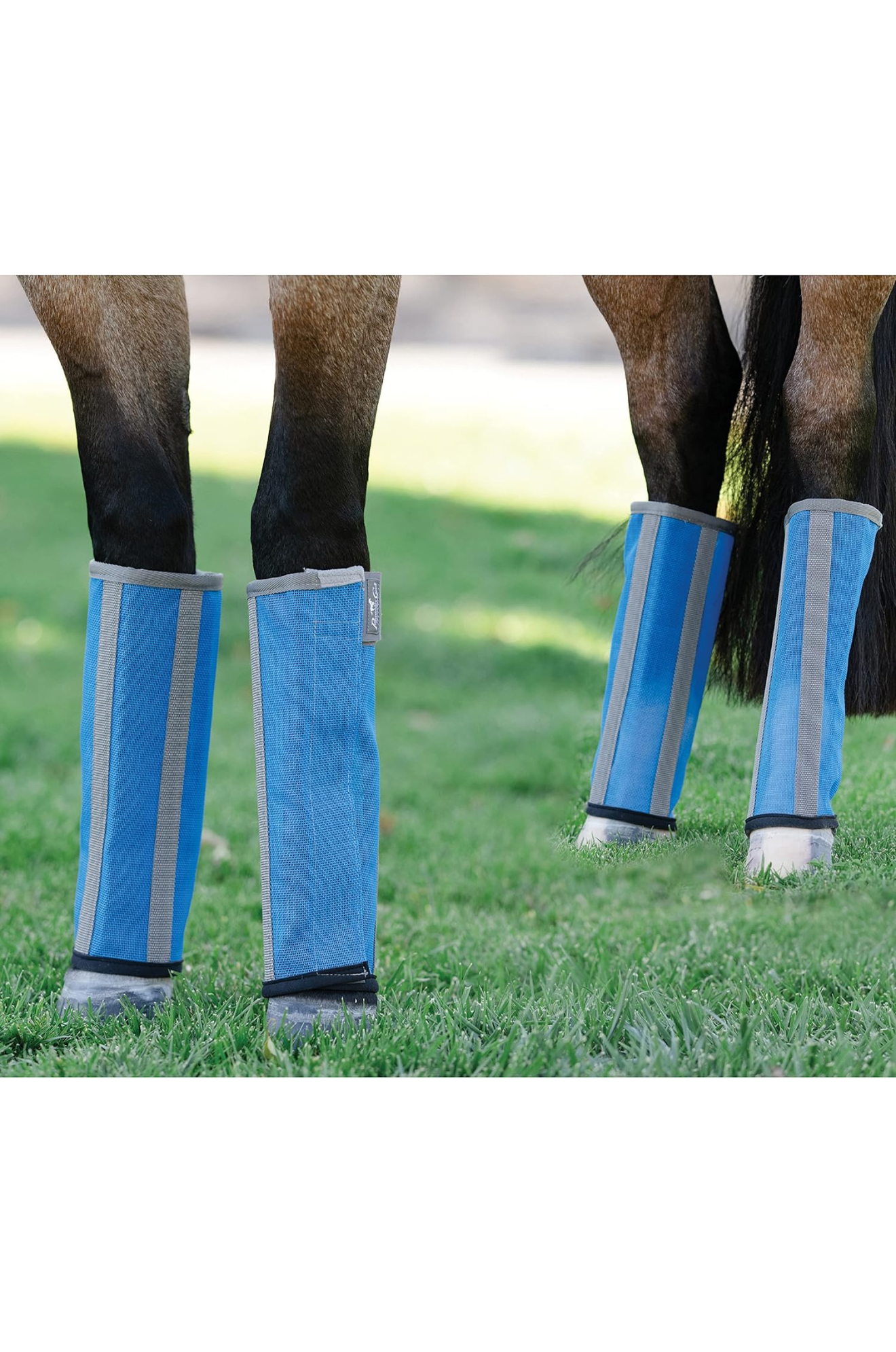 A pair of pink fly boots for horses with gray accents, featuring mesh upper material and neoprene bottom liner.
