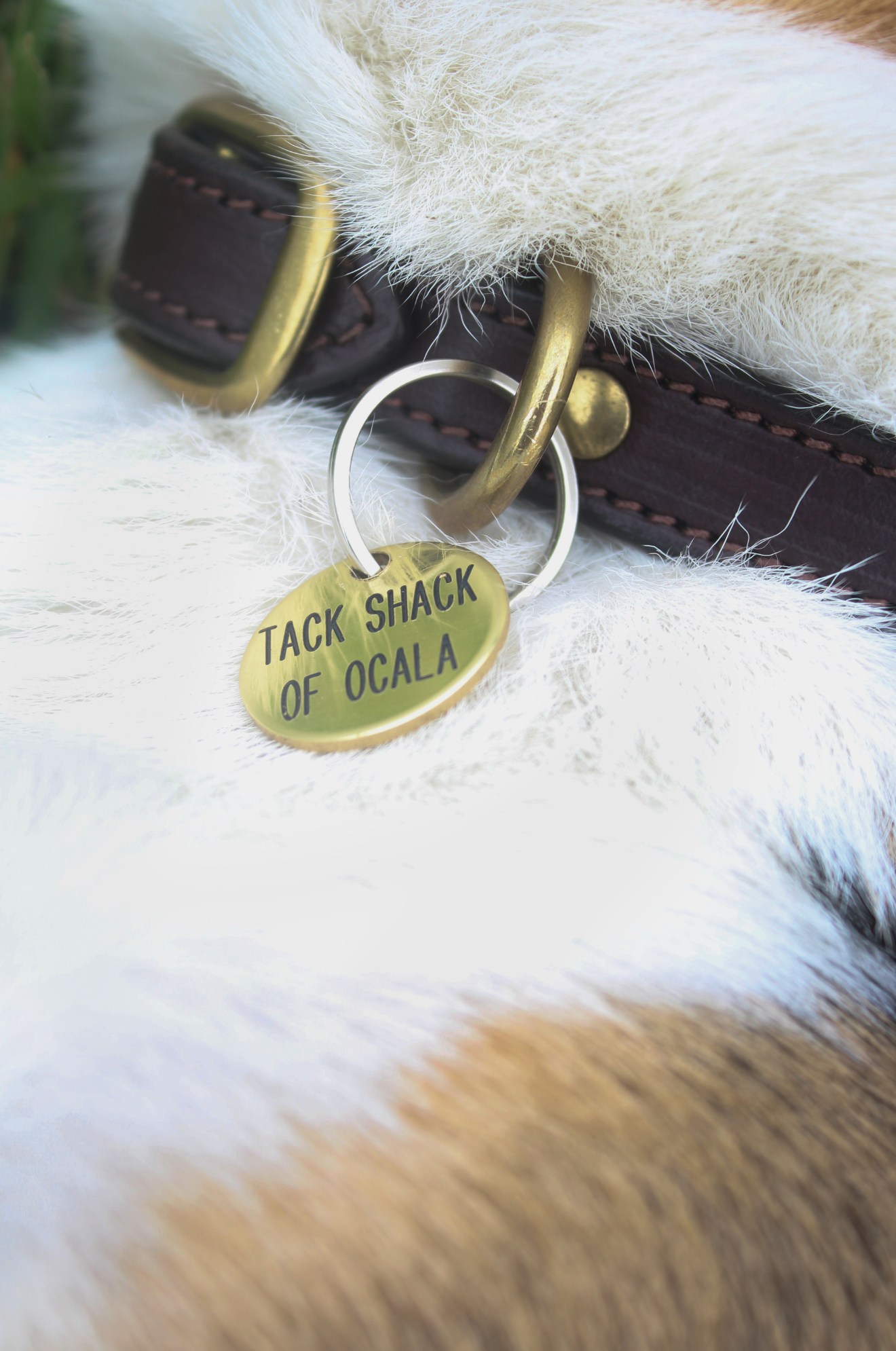 ROUND TAGS