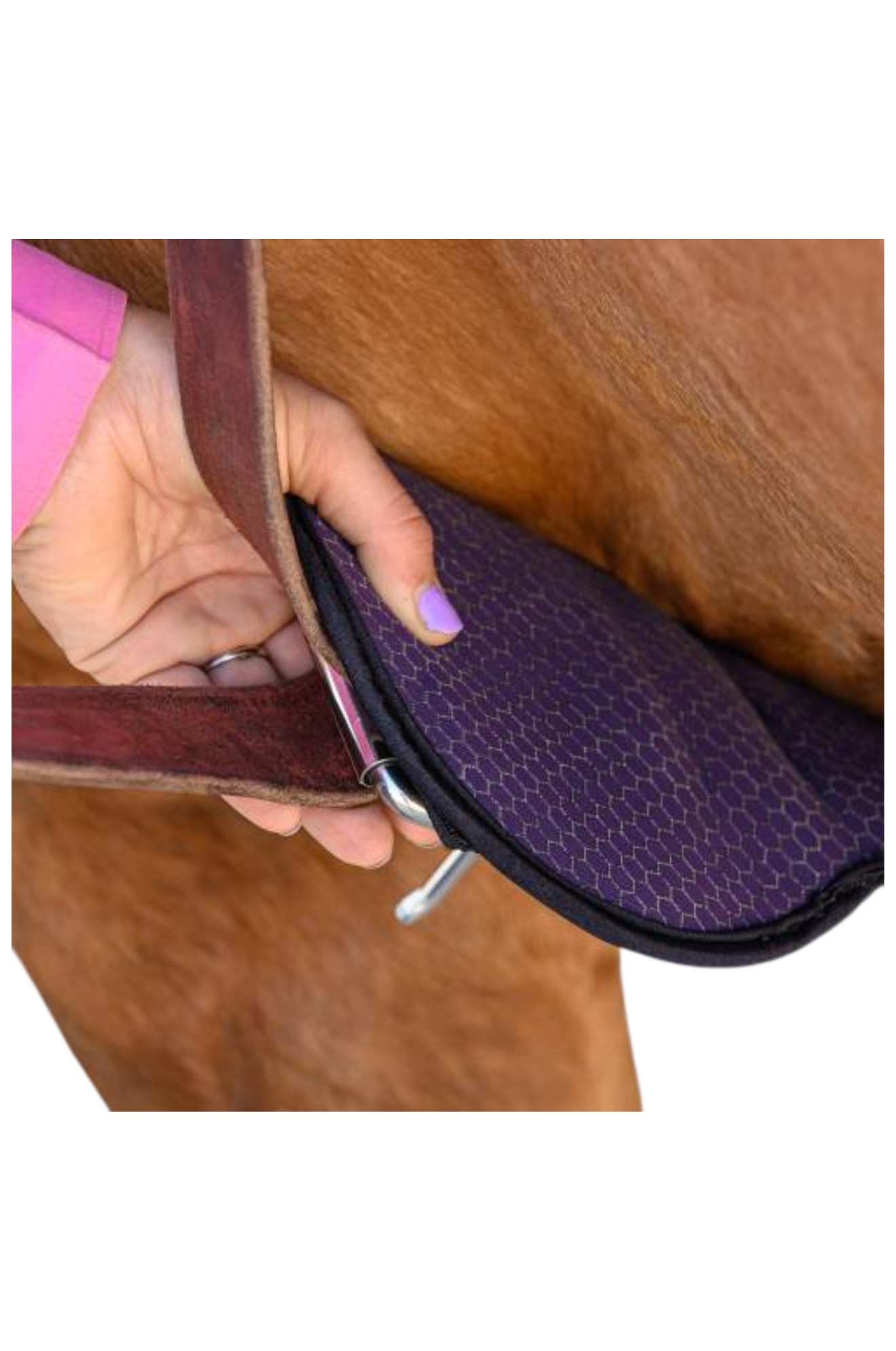 PROFESSIONAL'S CHOICE 2XCOOL CINCH