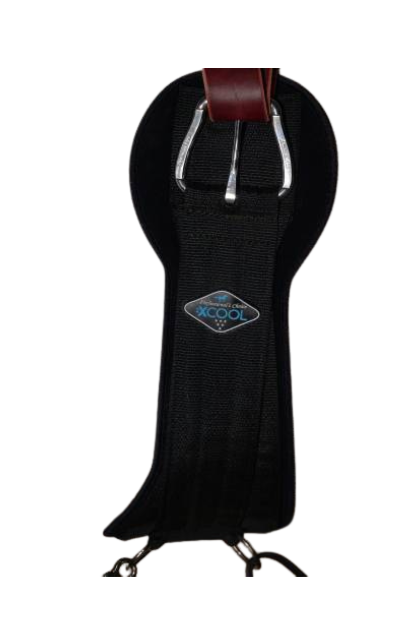 PROFESSIONAL'S CHOICE 2XCOOL CINCH
