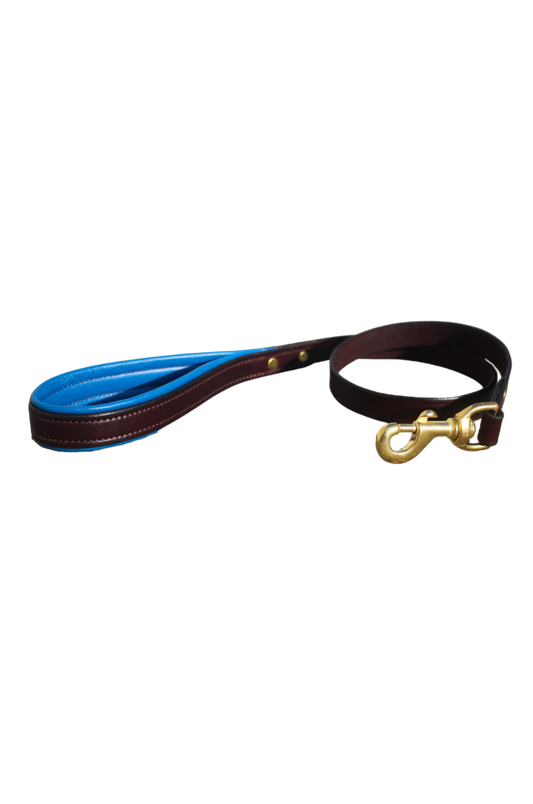 TS Custom Leather Dog Leash