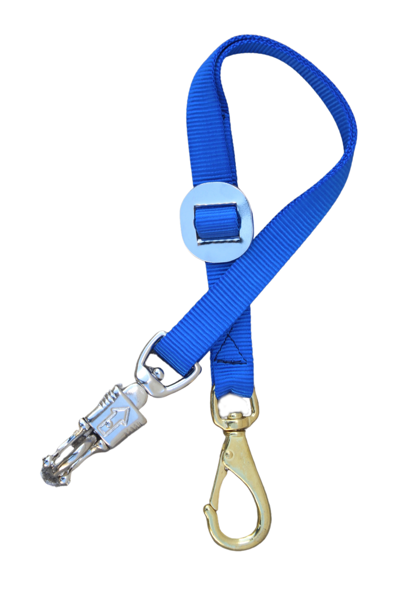 A royal blue nylon trailer tie with a bull snap on one end and a panic snap on the other.