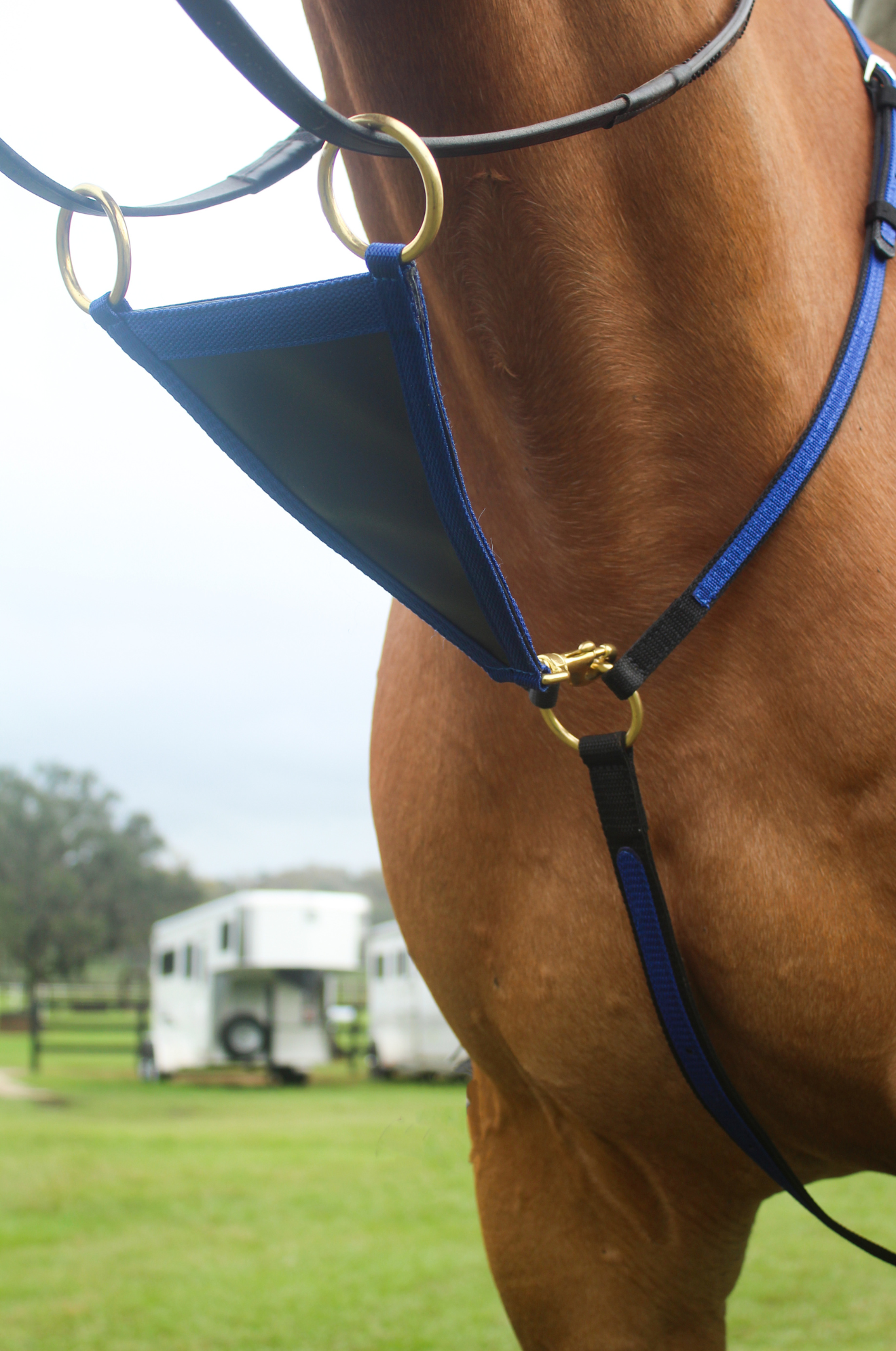 TS MARTINGALE WITH FORK