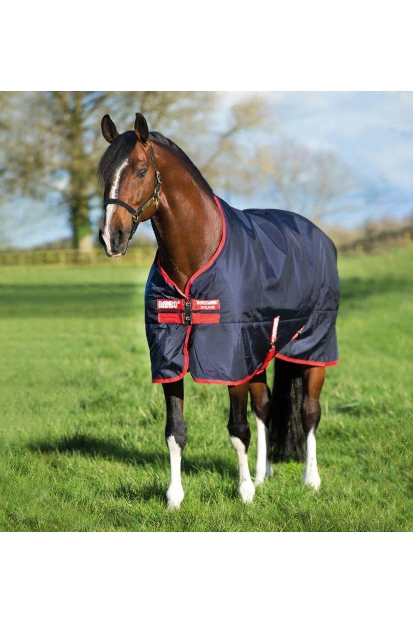 RAMBO ORIGINAL TURNOUT MEDIUM 200G