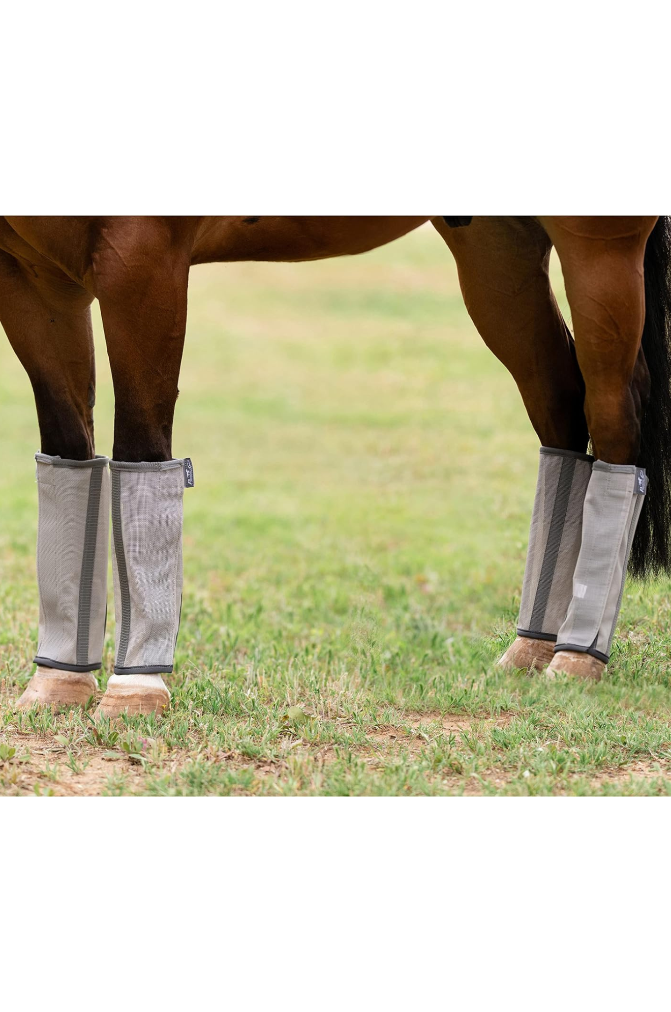 A pair of pink fly boots for horses with gray accents, featuring mesh upper material and neoprene bottom liner.