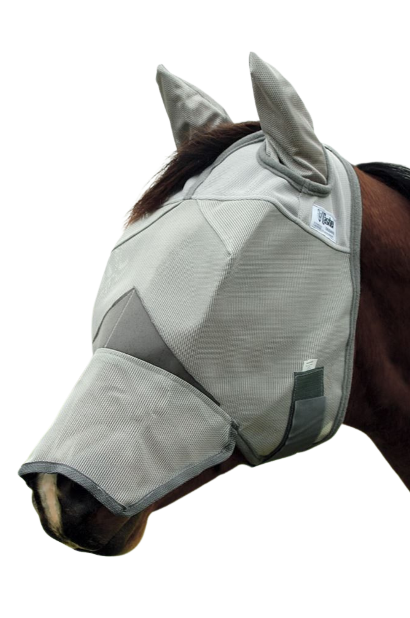 A beige horse fly mask covering the horse's eyes and nose with ears exposed.