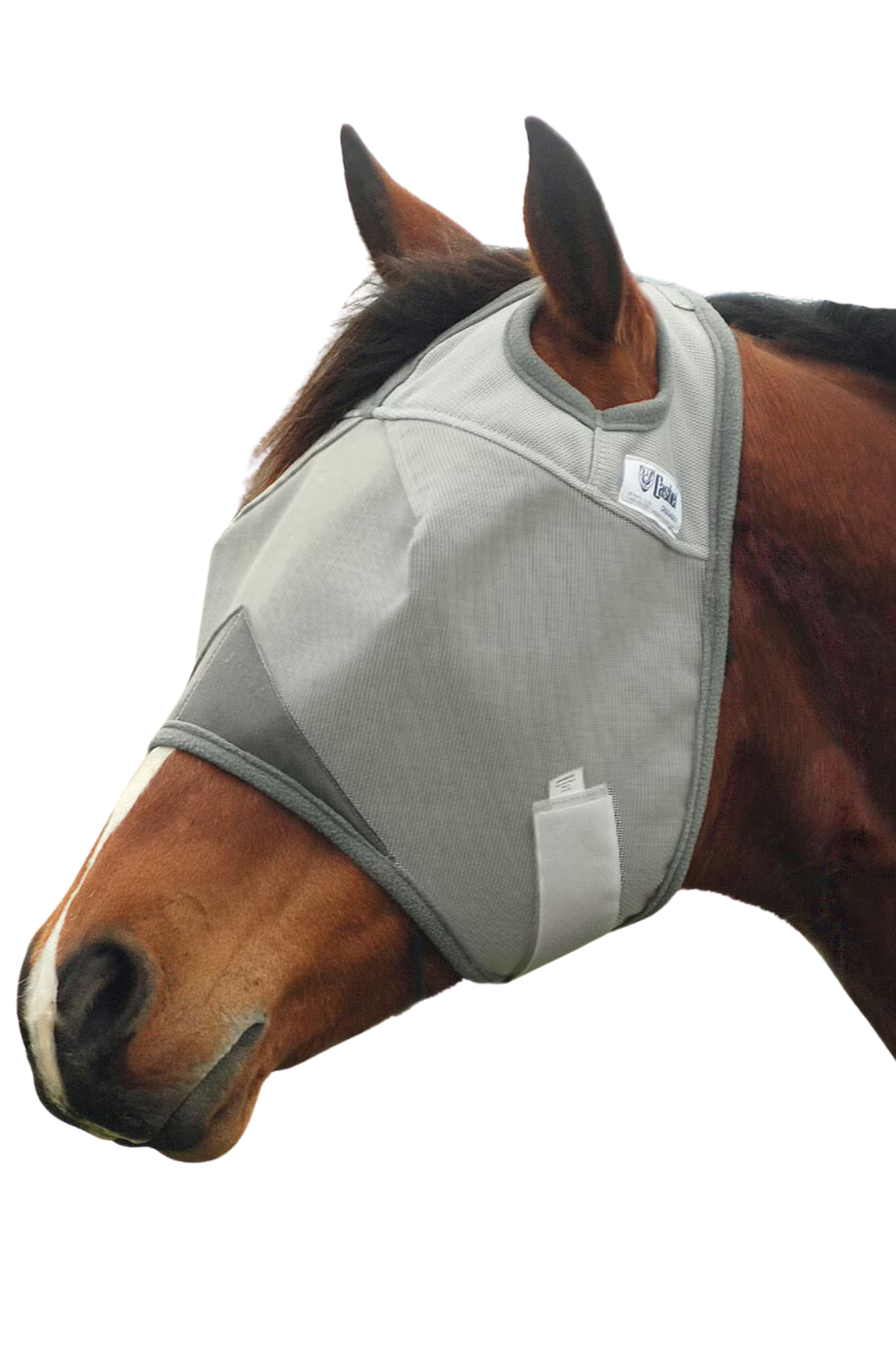 A gray horse fly mask covering the horse's eyes and head, with an open design at the front.