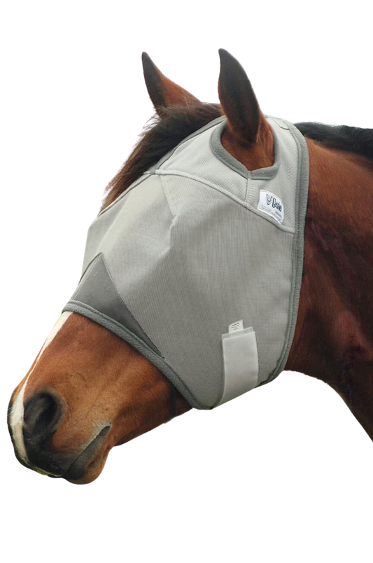A gray horse fly mask covering the horse's eyes and head, with an open design at the front.