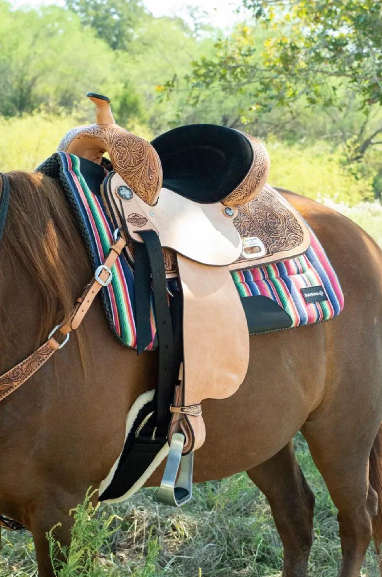 Circle Y Proven Mansfield Barrel