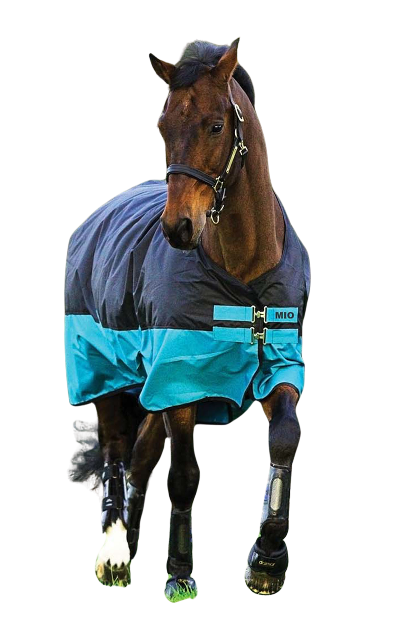 HORSEWARE MIO TURNOUT LITE SHEET 0G