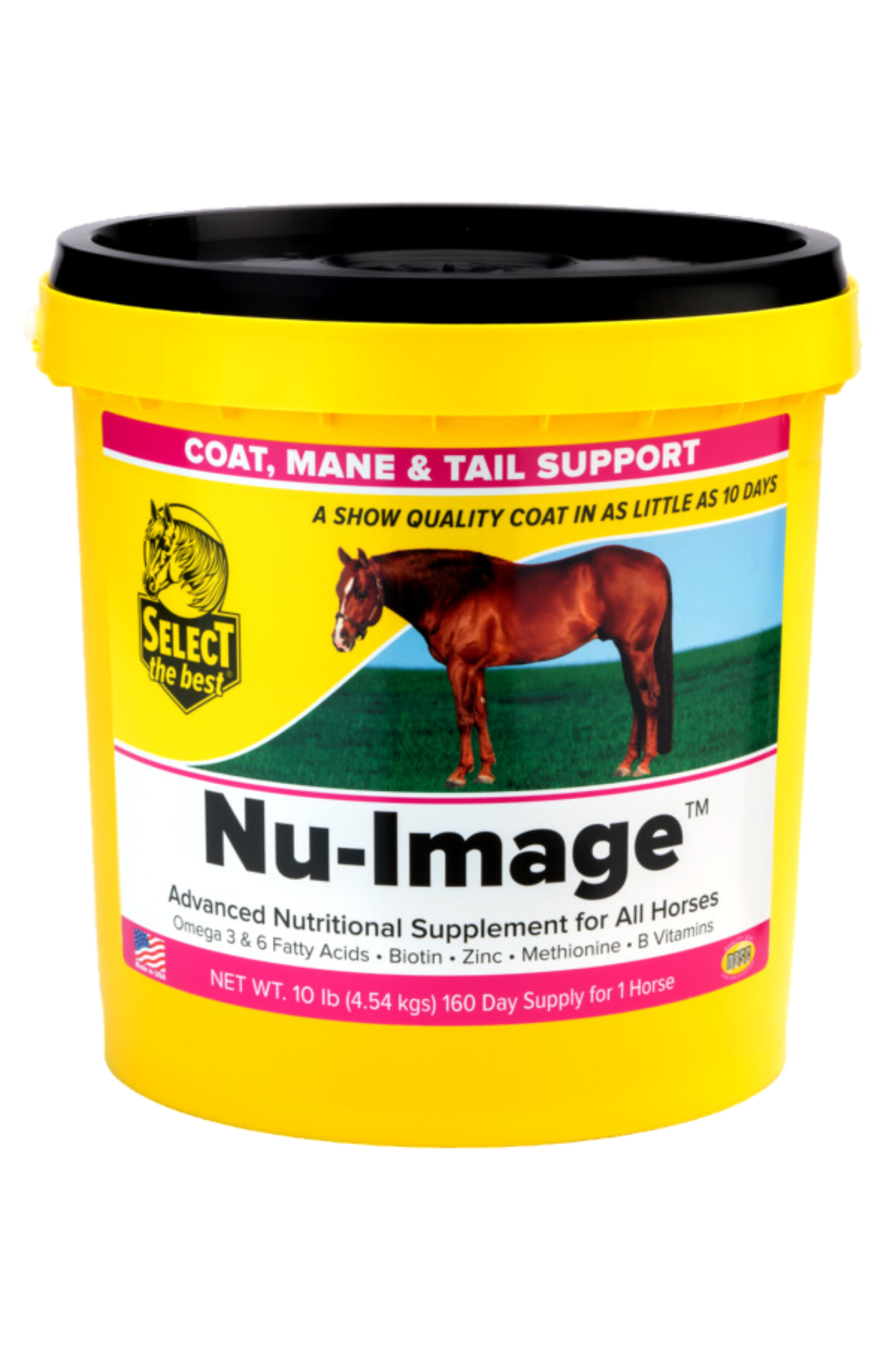 SELECT NU-IMAGE