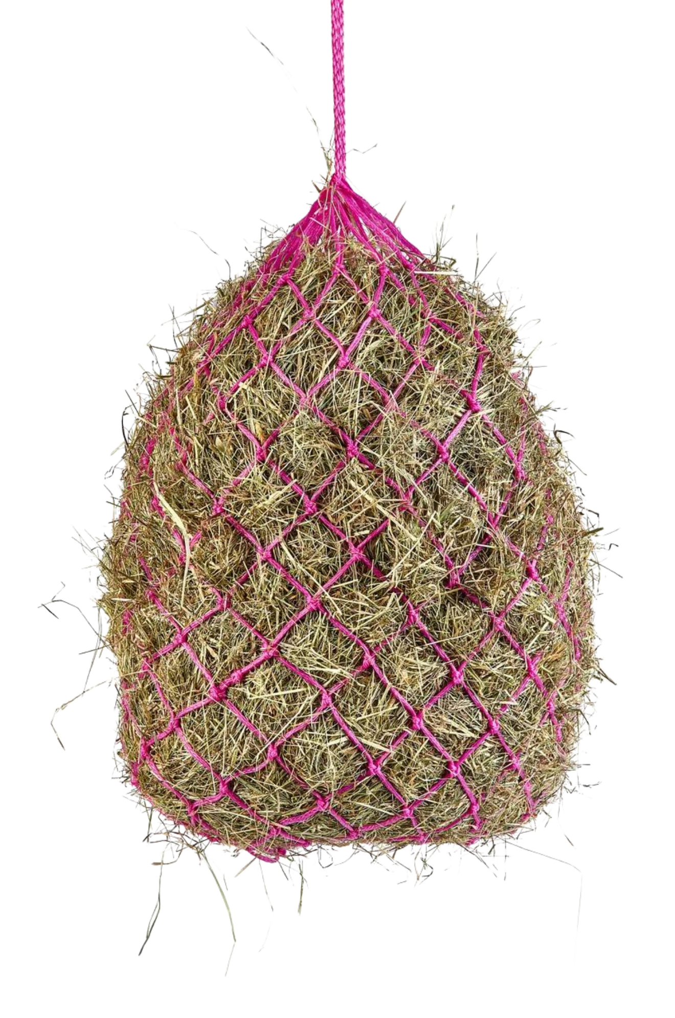 A pink haylage net filled with hay.