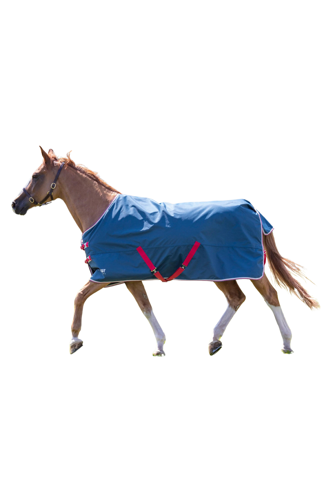 SHIRES TEMPEST ORIGINAL LITE TURNOUT SHEET
