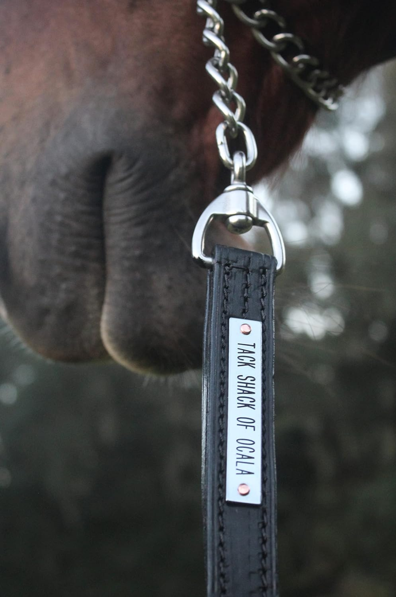 TS Leather Shank