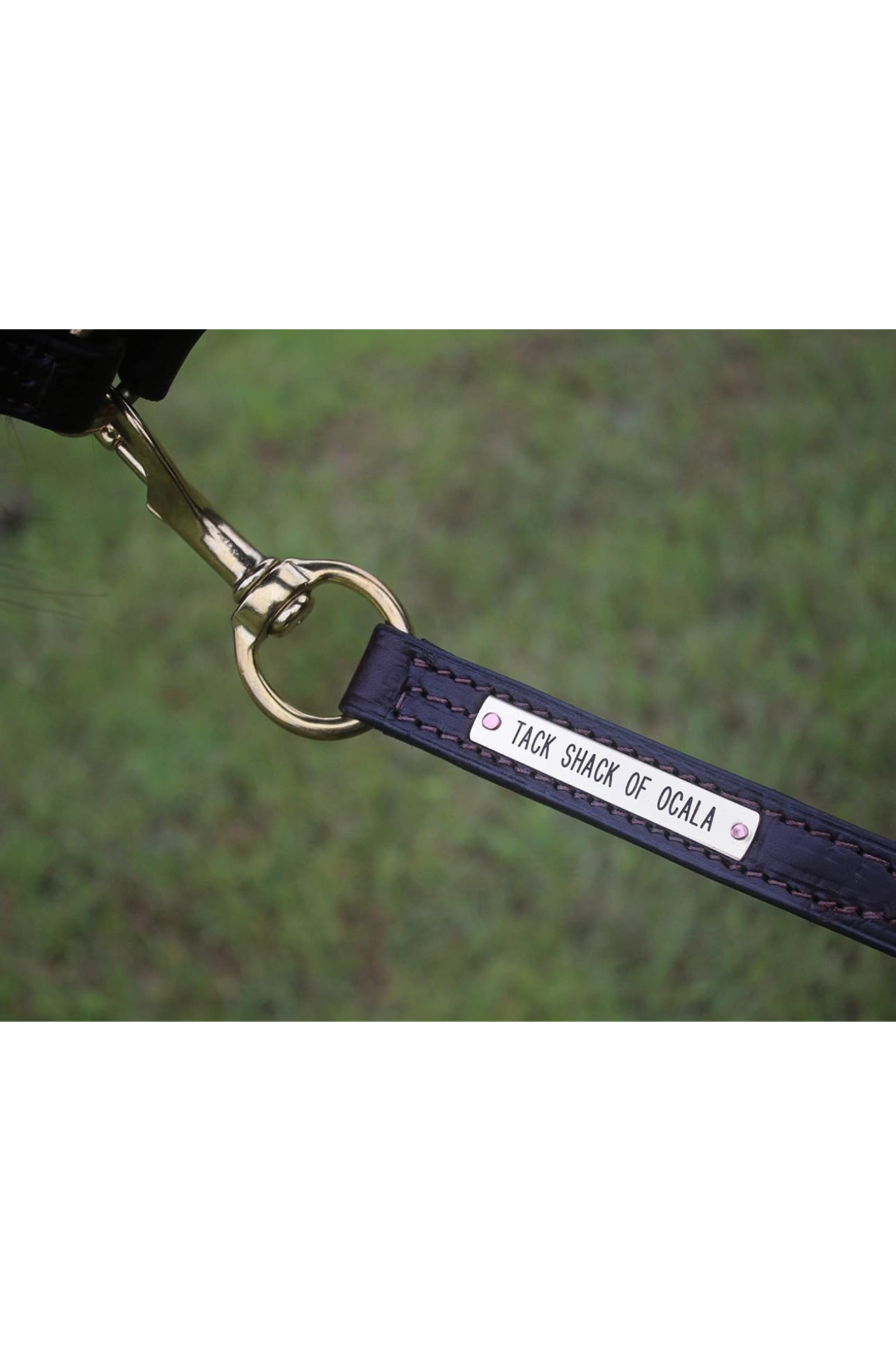 TS LEATHER LEAD WITH SNAP