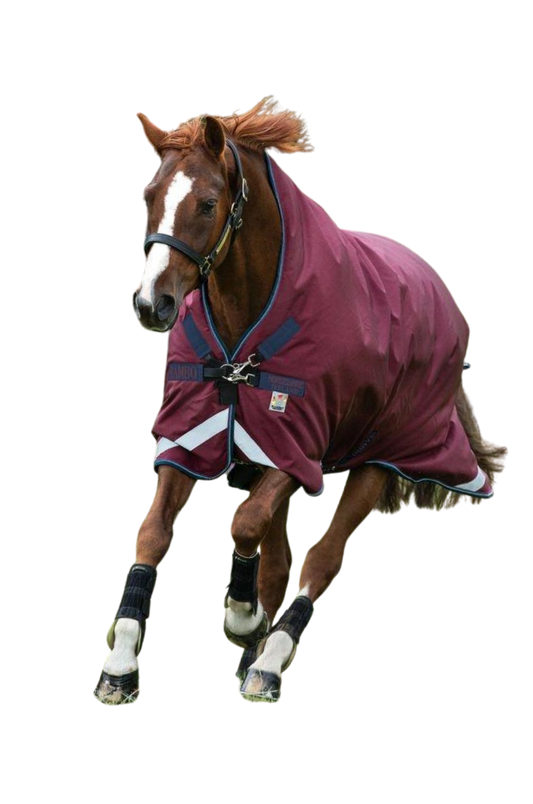 Rambo Wug Turnout Medium 200G