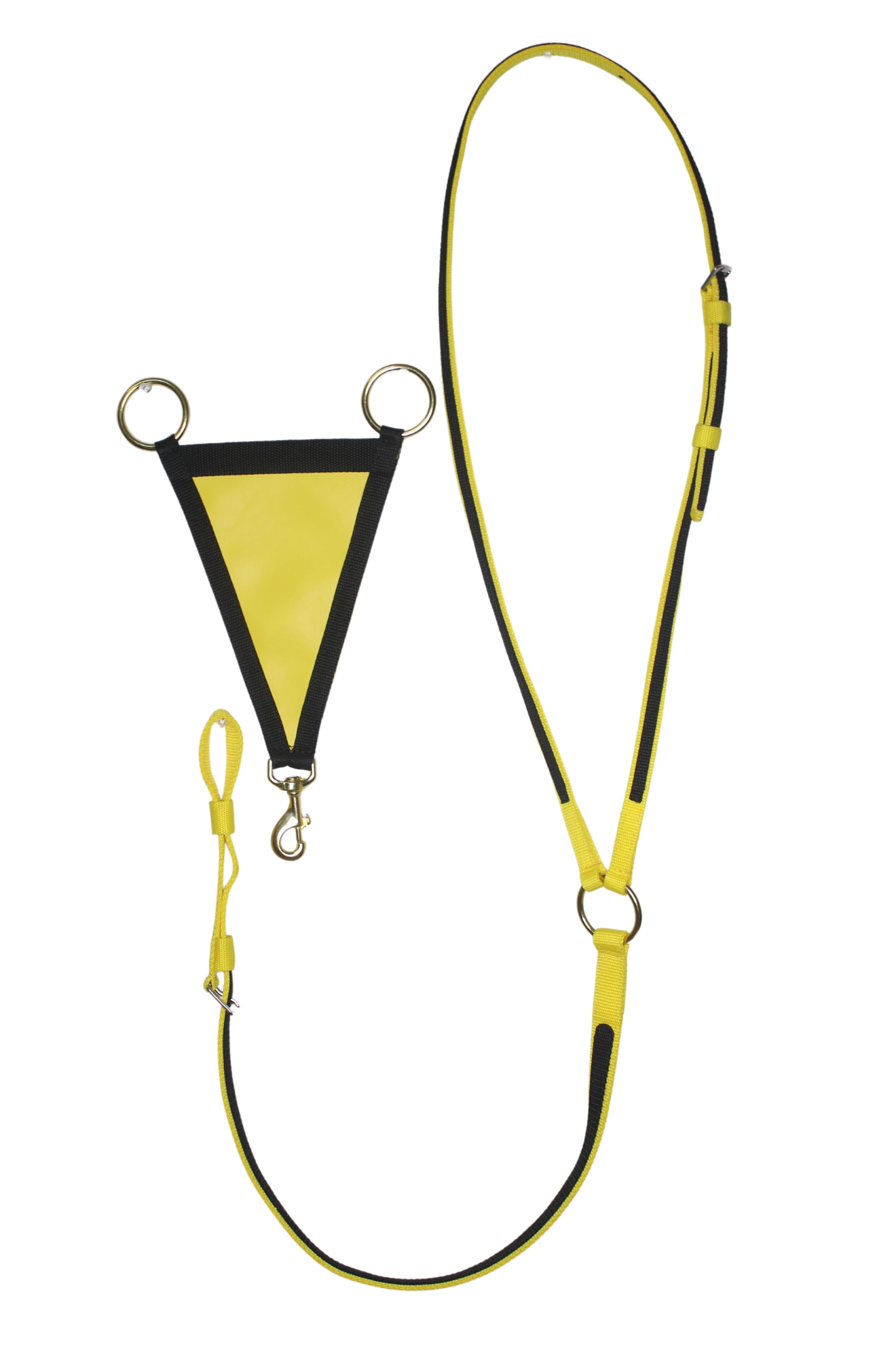 TS MARTINGALE WITH FORK