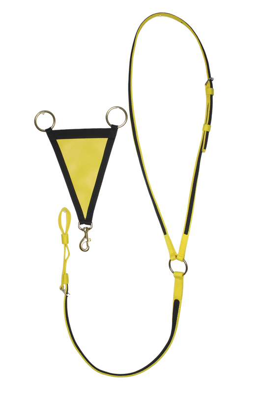 TS Martingale With Fork