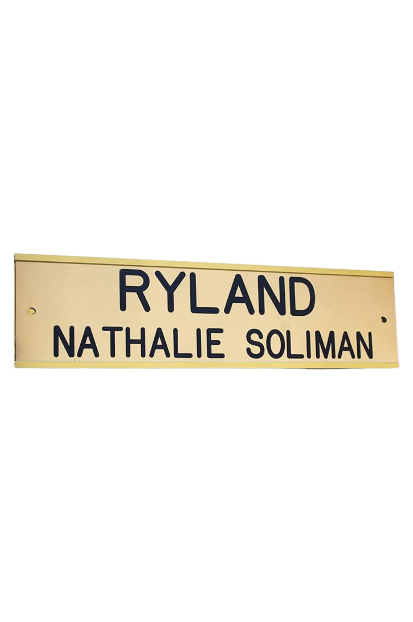 TS CUSTOM BRASS STALL PLATES