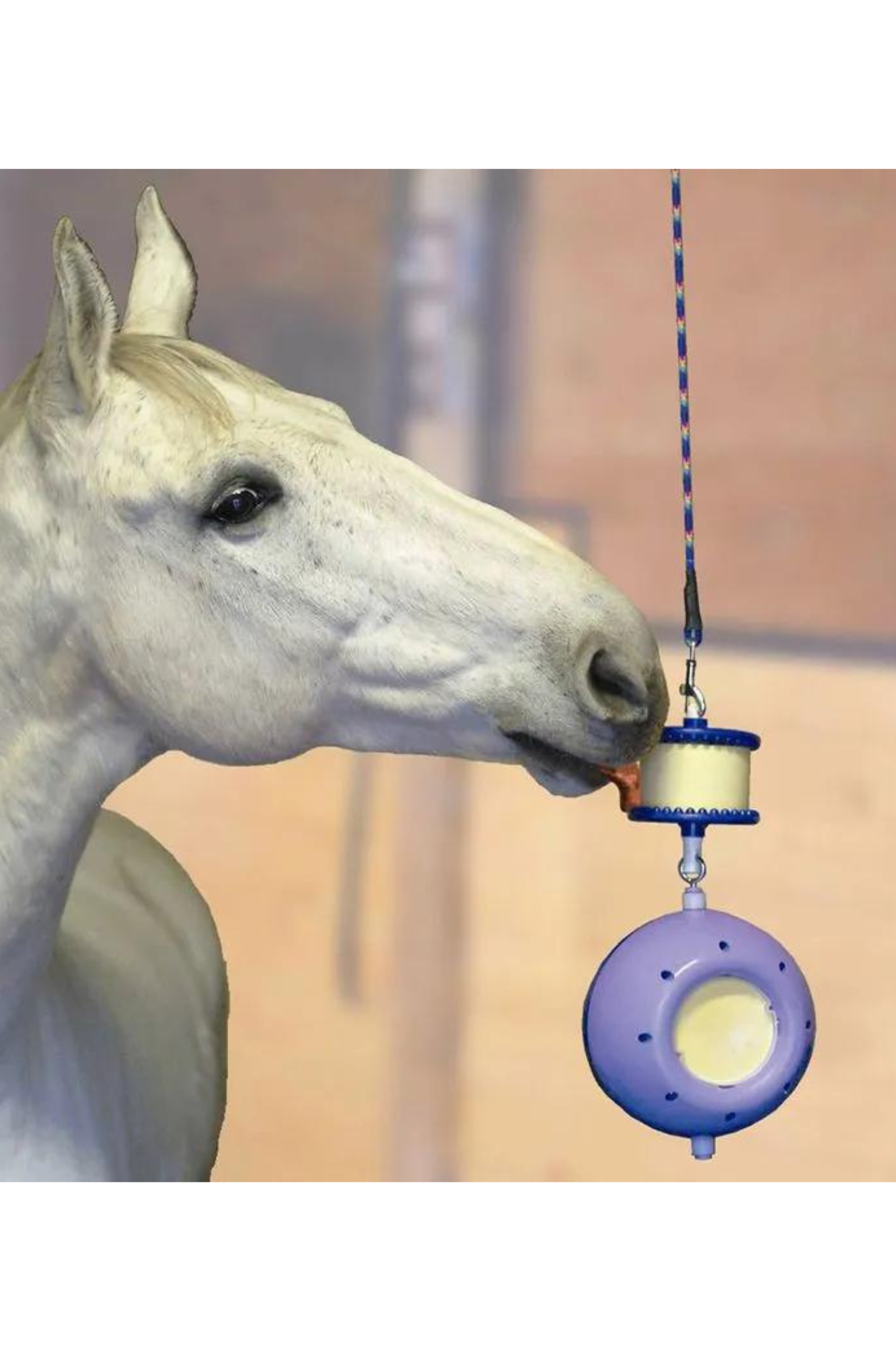 Likit Boredom Breaker