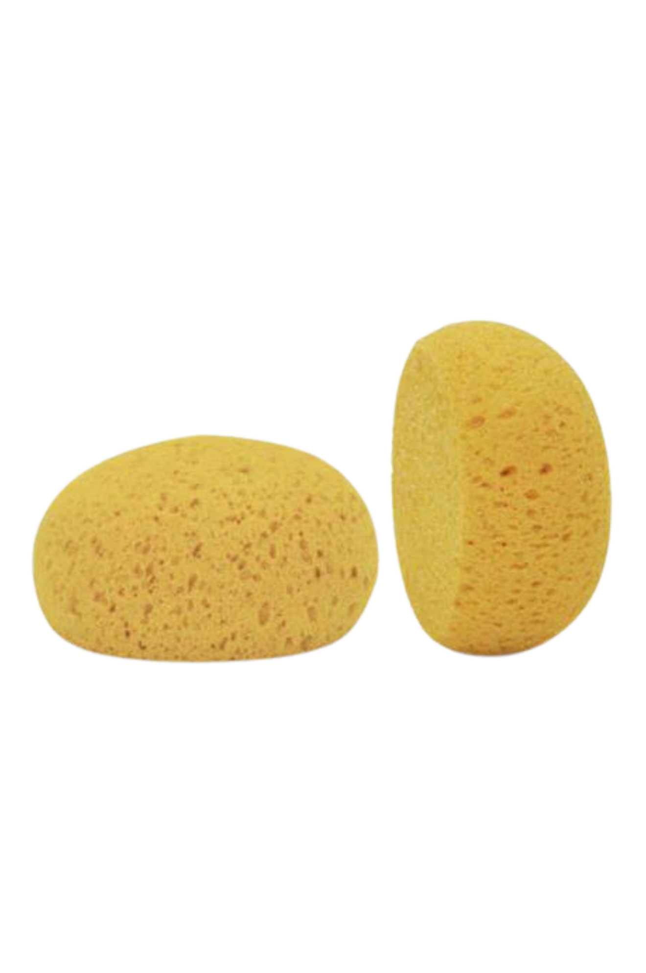 HADERA II ROUND TACK SPONGE