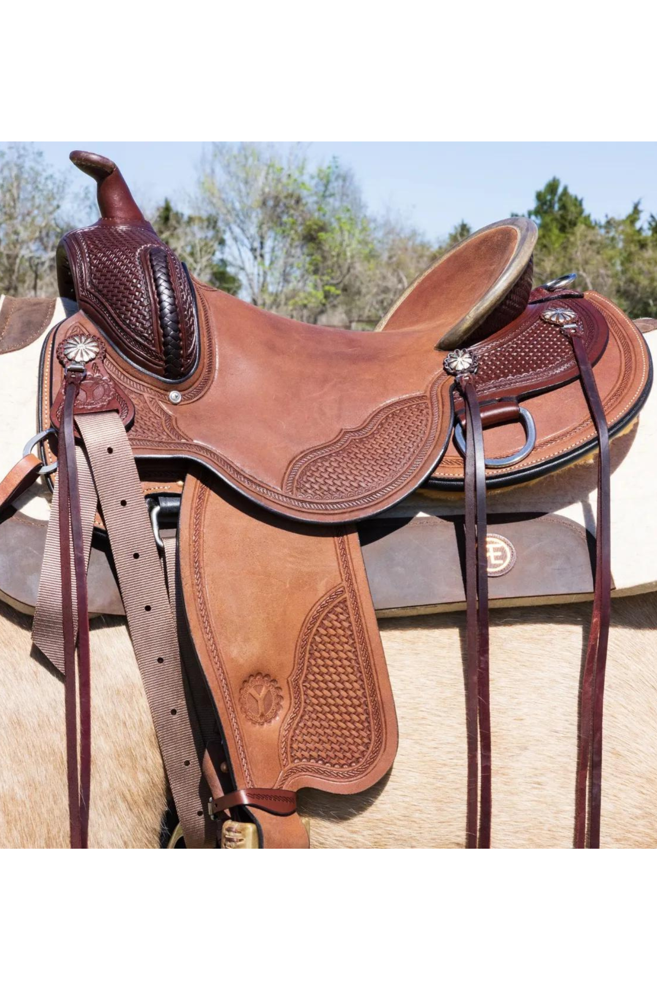 A brown Circle Y Brazos Wood Trail Saddle with a wooden tree and leather straps.