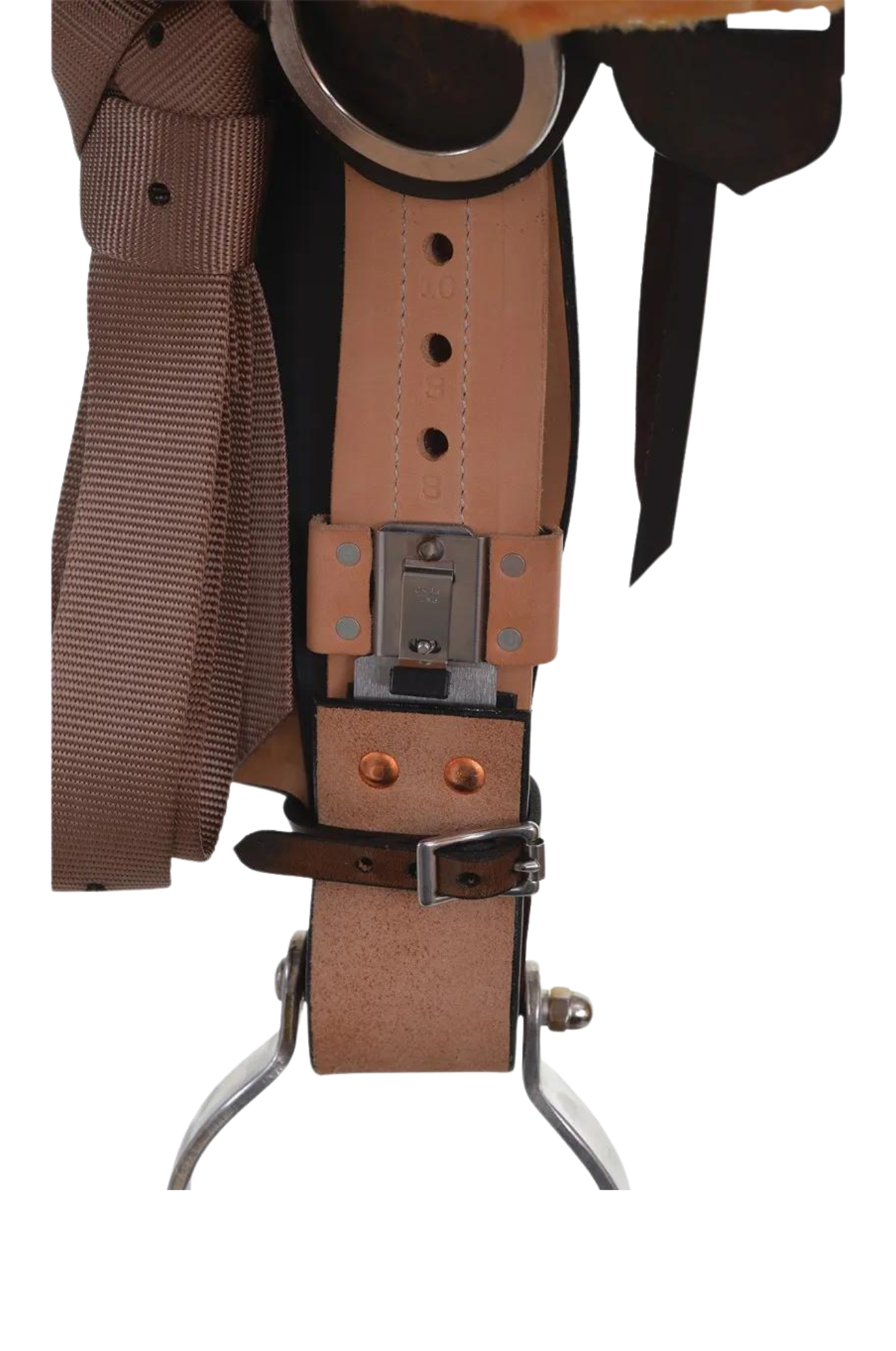 A brown western saddle with sunflower design and custom border tooling, including a matching flank cinch, made by Circle Y.