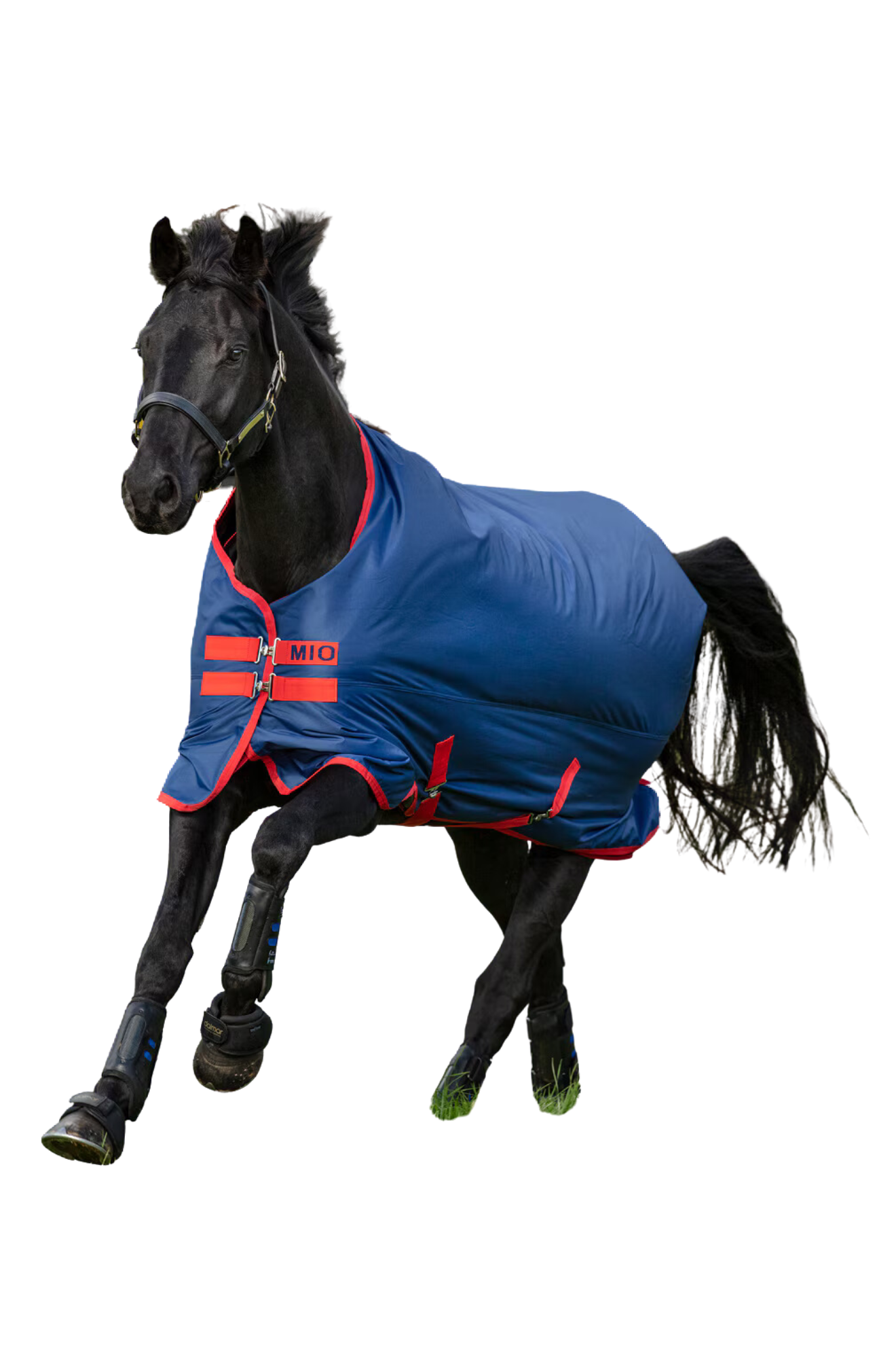 HORSEWARE MIO TURNOUT LITE SHEET 0G