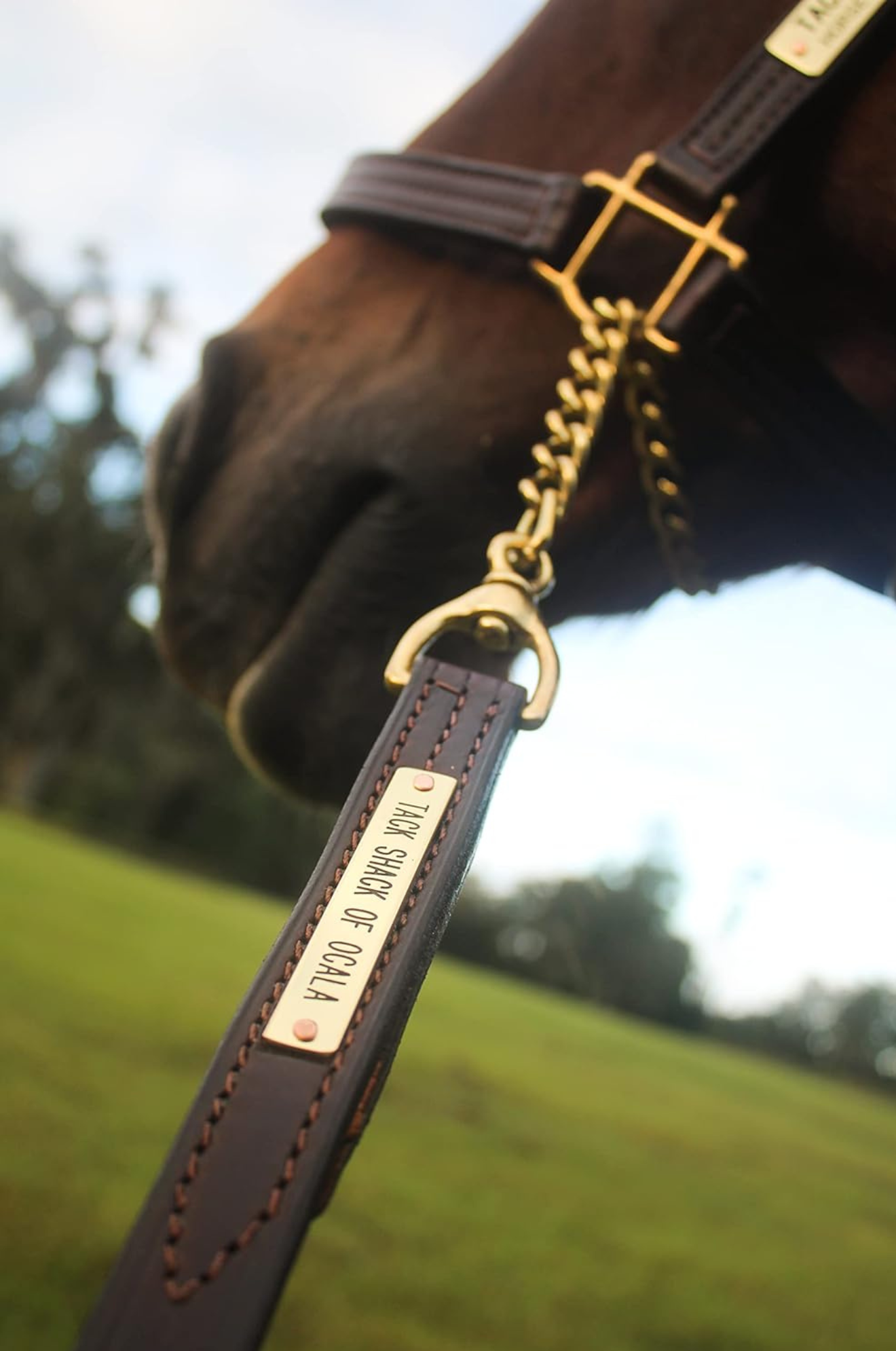 TS Leather Shank