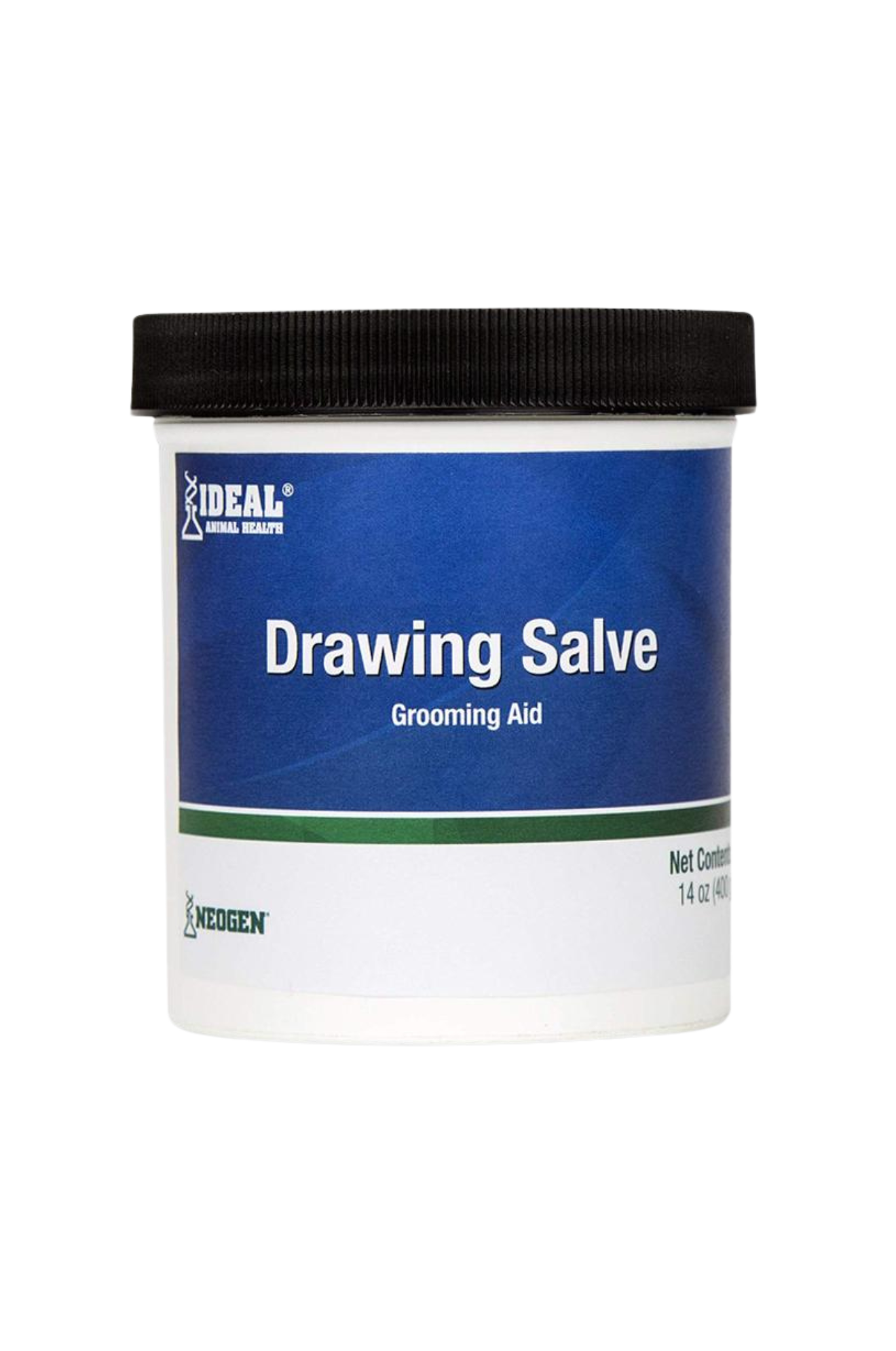 DRAWING SALVE