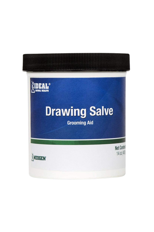 DRAWING SALVE