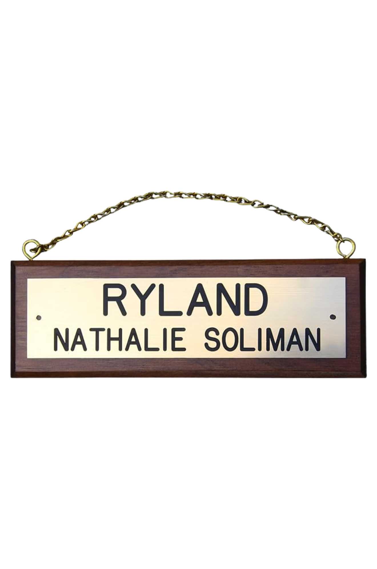 TS CUSTOM BRASS STALL PLATES