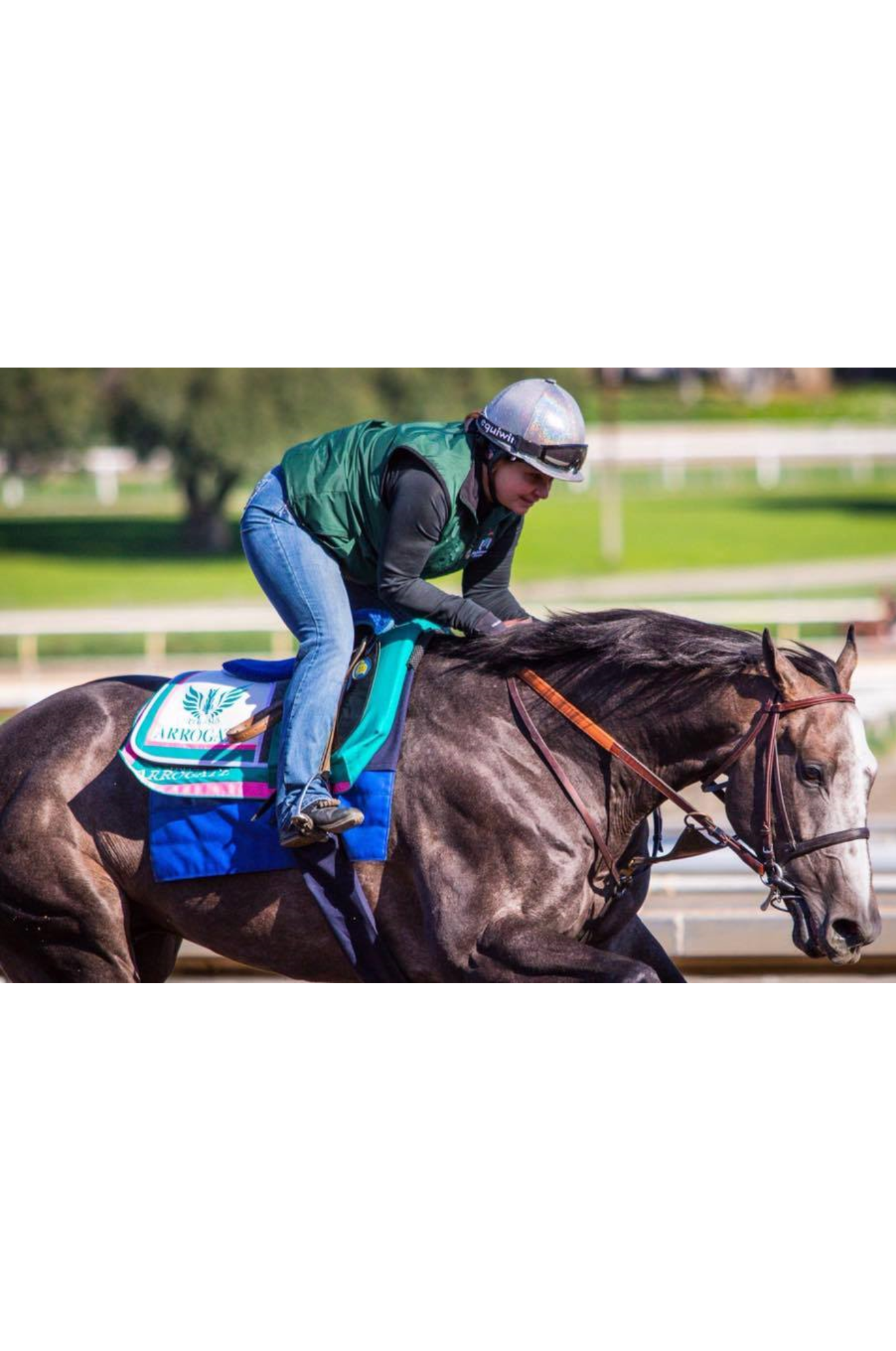 race horse