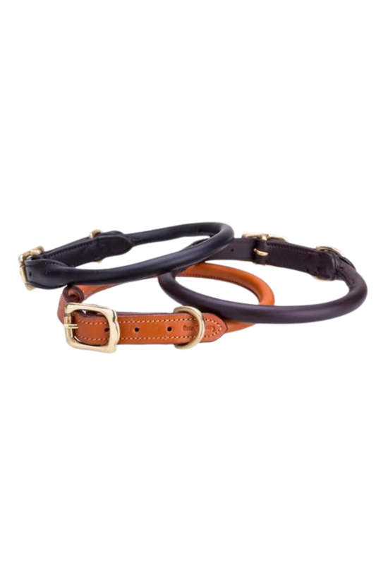 TS Leather Rolled Dog Collar